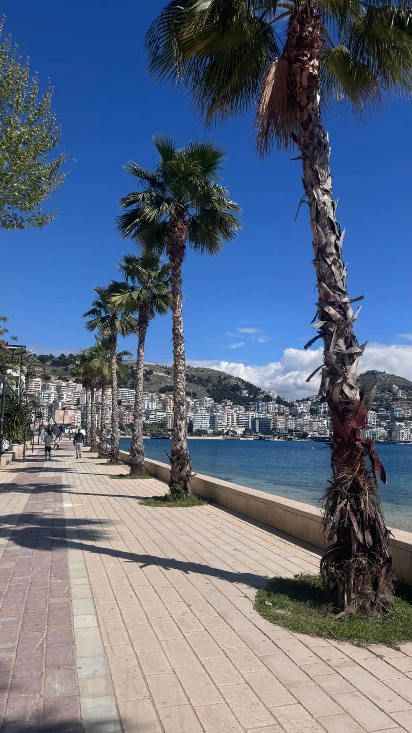 Neighbourhood in AL'YACHT Premium Hotel