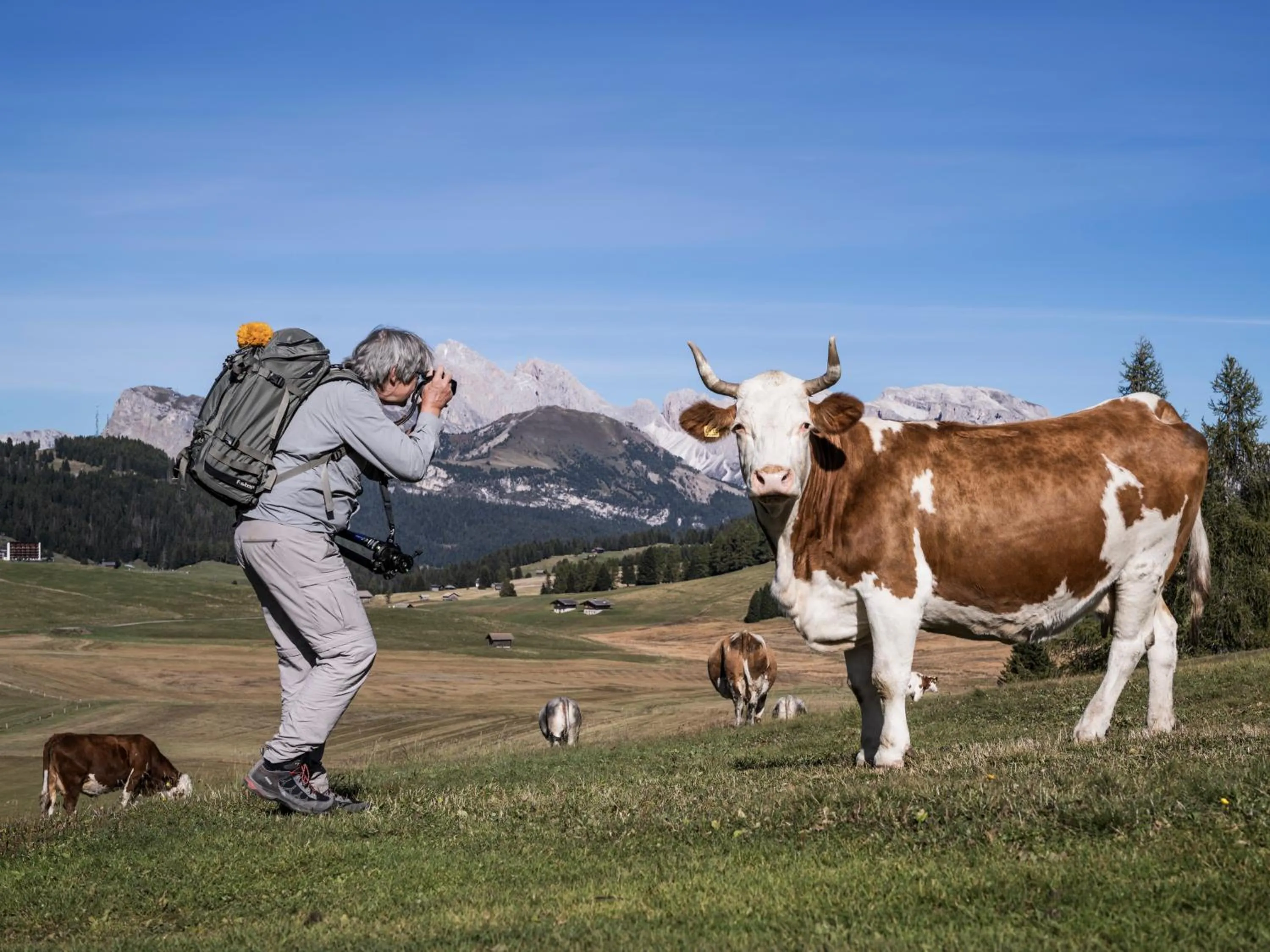 Natural landscape in Hotel Platz