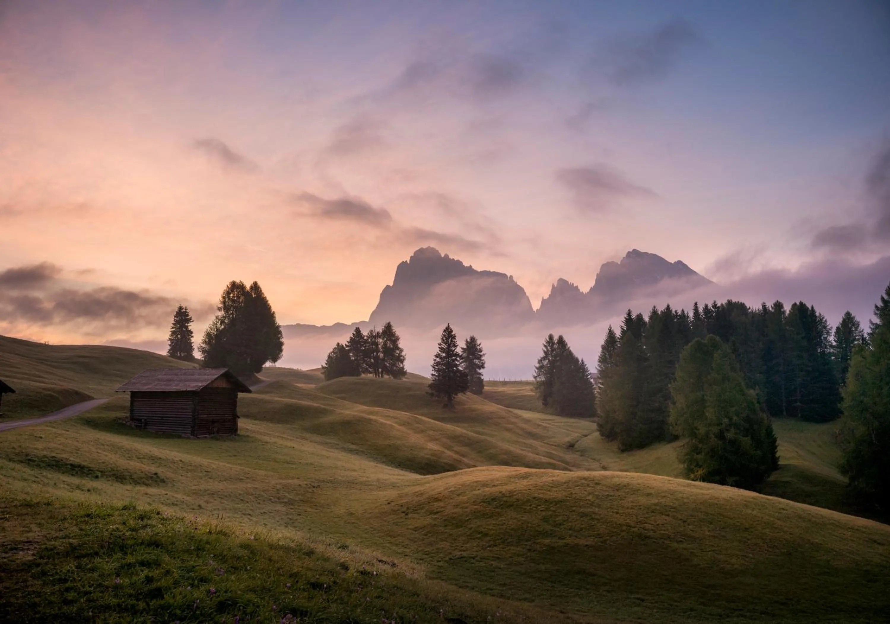 Natural landscape in Hotel Platz
