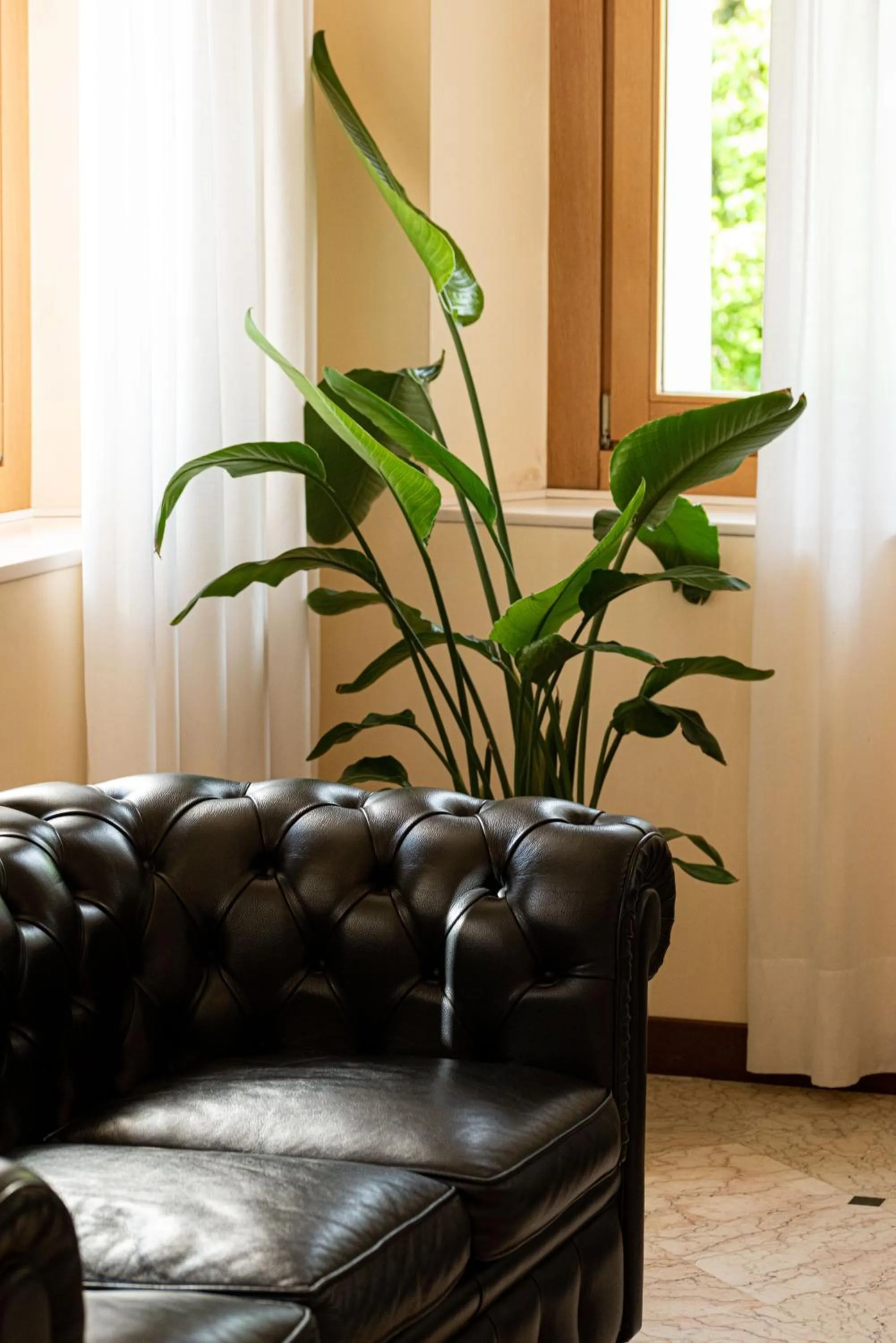 Decorative detail in Phi Hotel Astoria