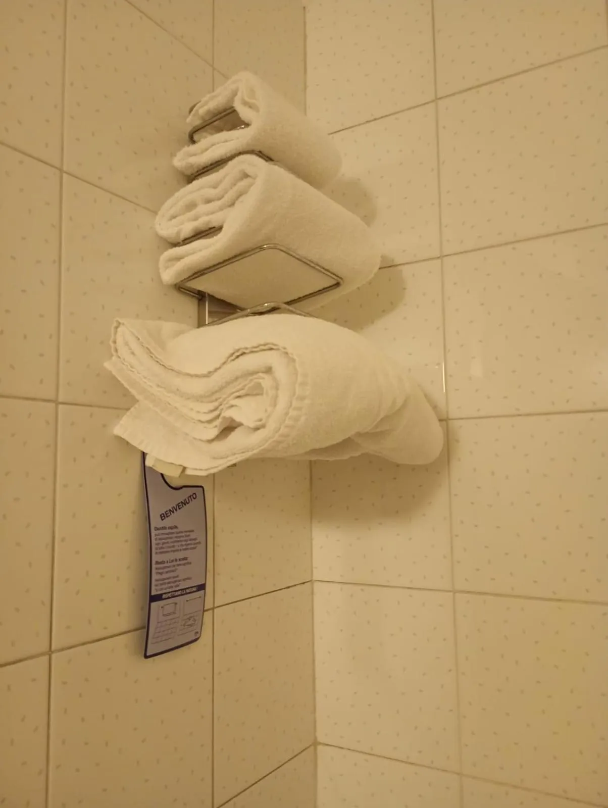 towels in Hotel Des Alpes