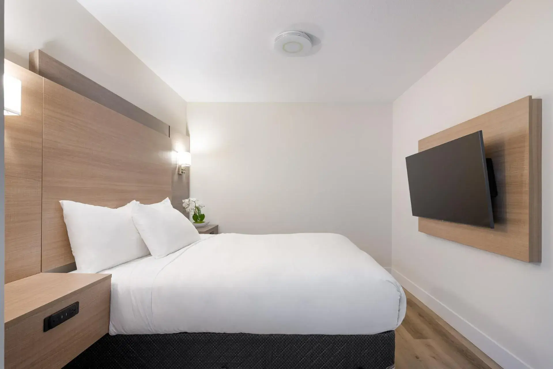 Queen Suite with Sea View in Harrison Grand Motel Queen Suite with Sea View in Harrison Grand Motel