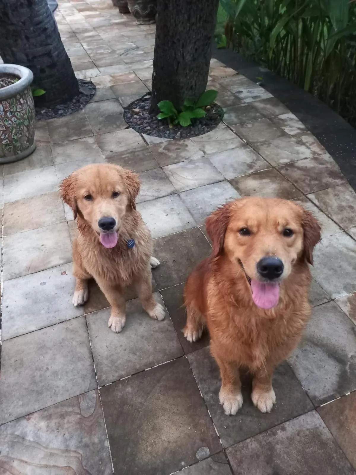 Property building in Bali North Beach B&B