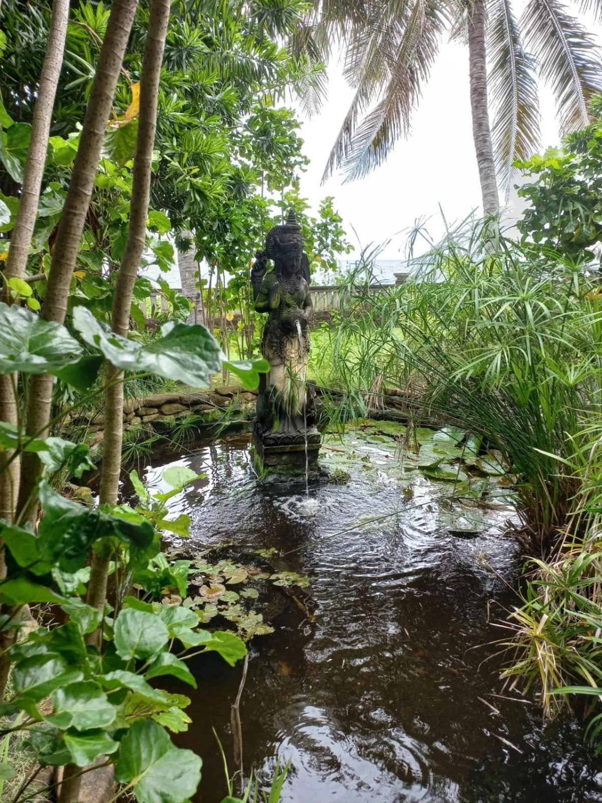 Natural landscape in Bali North Beach B&B