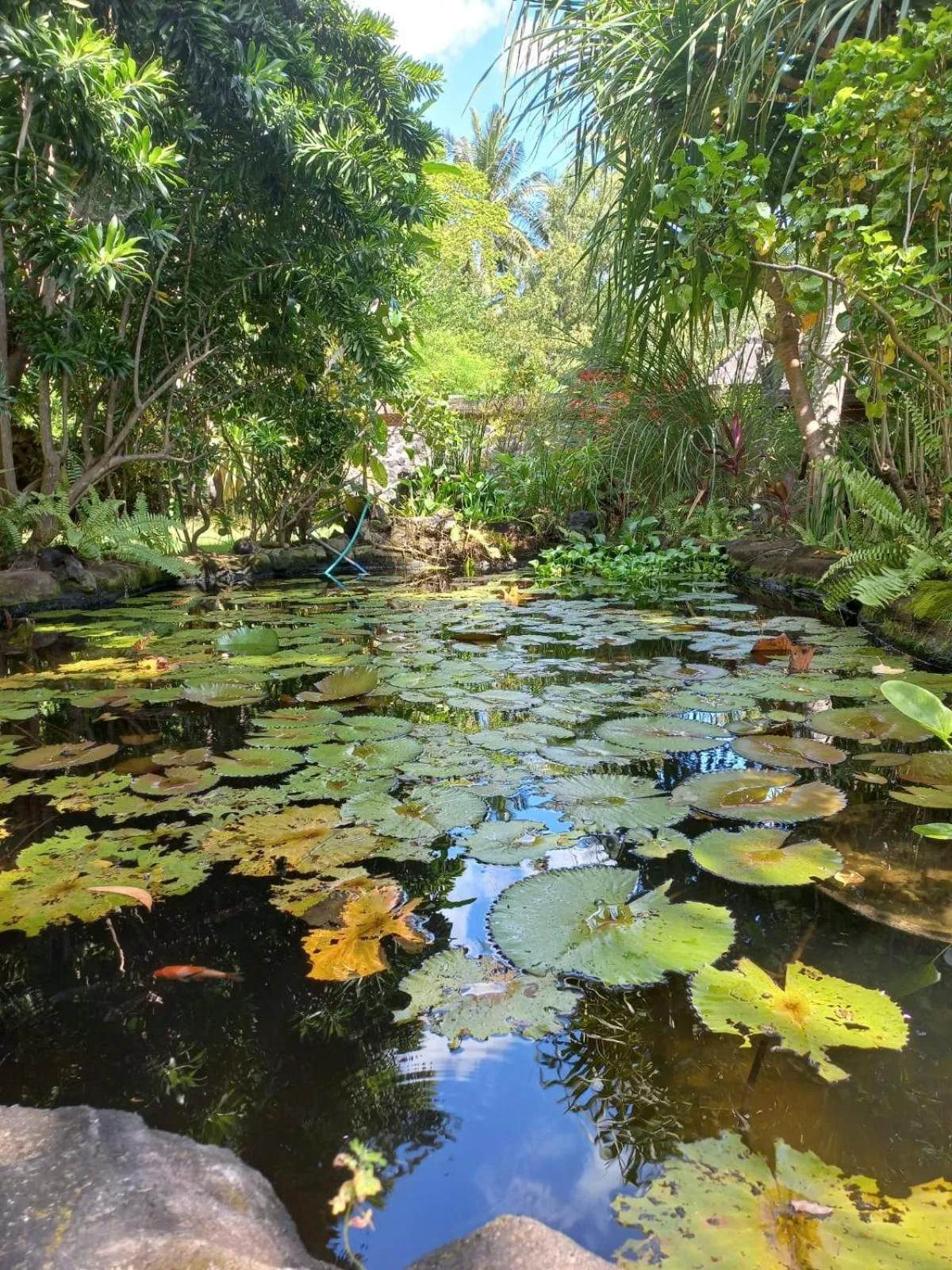 Natural landscape in Bali North Beach B&B