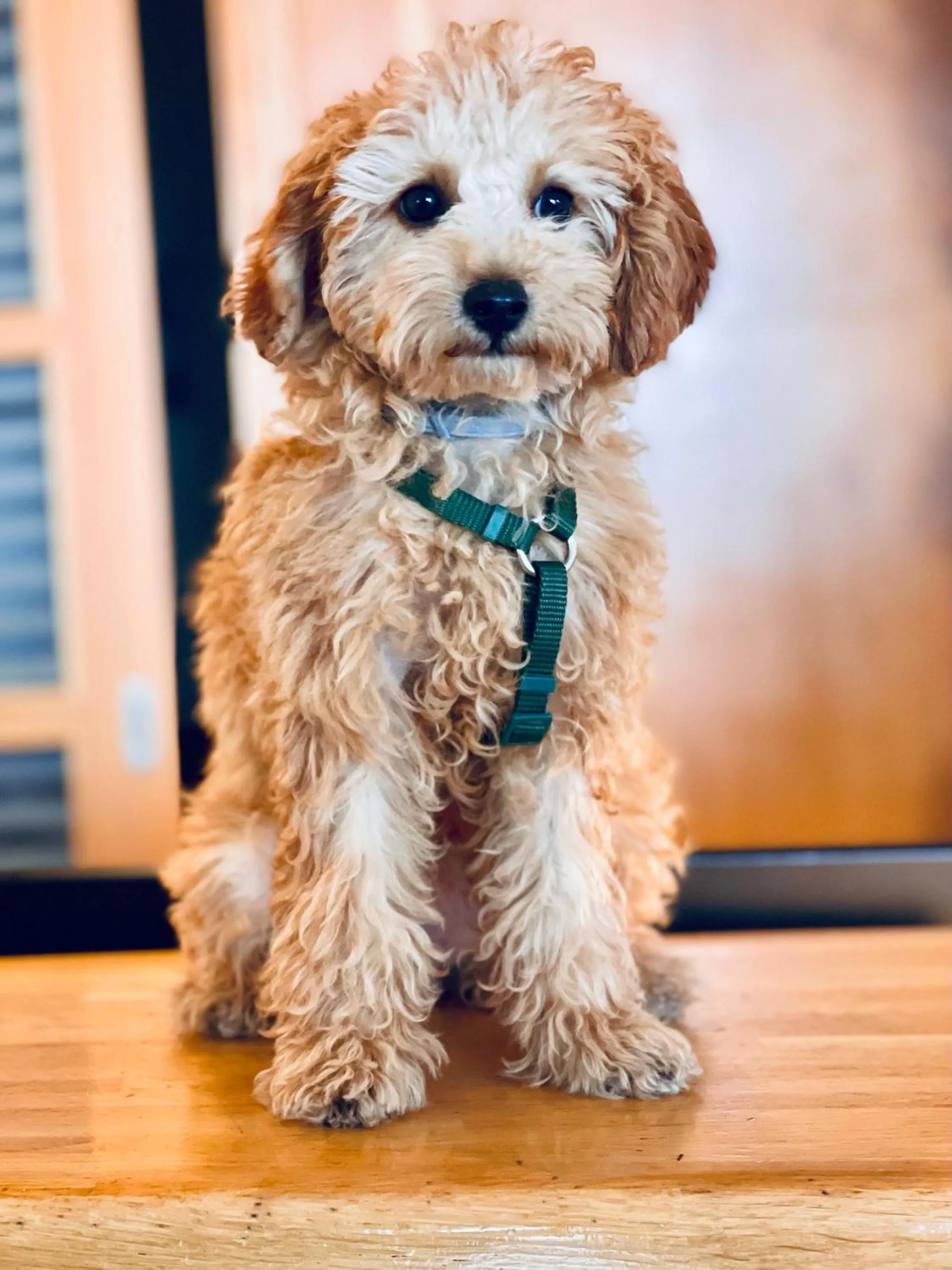 Lobby or reception in Tursport