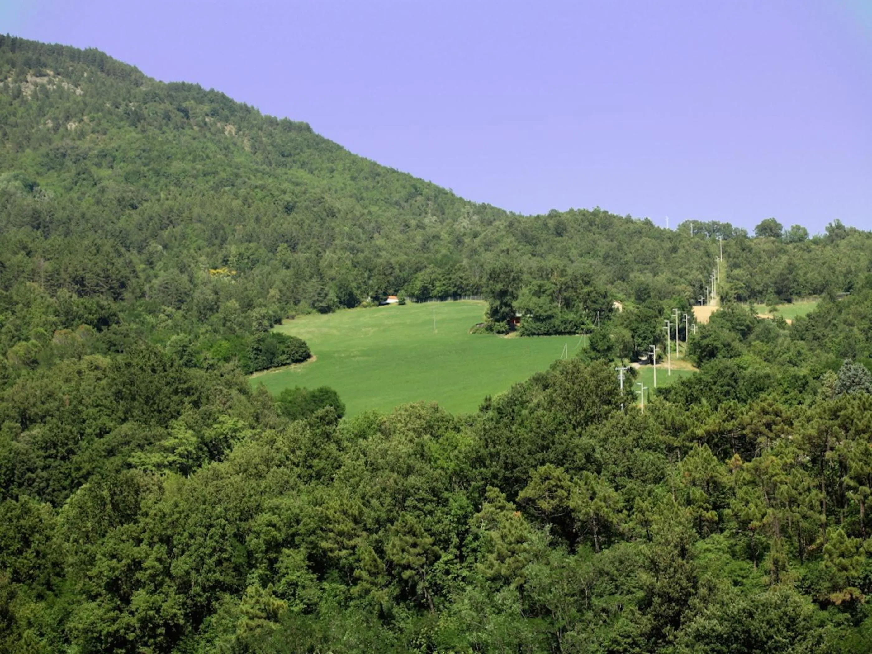 Decorative detail in Euro Hotel