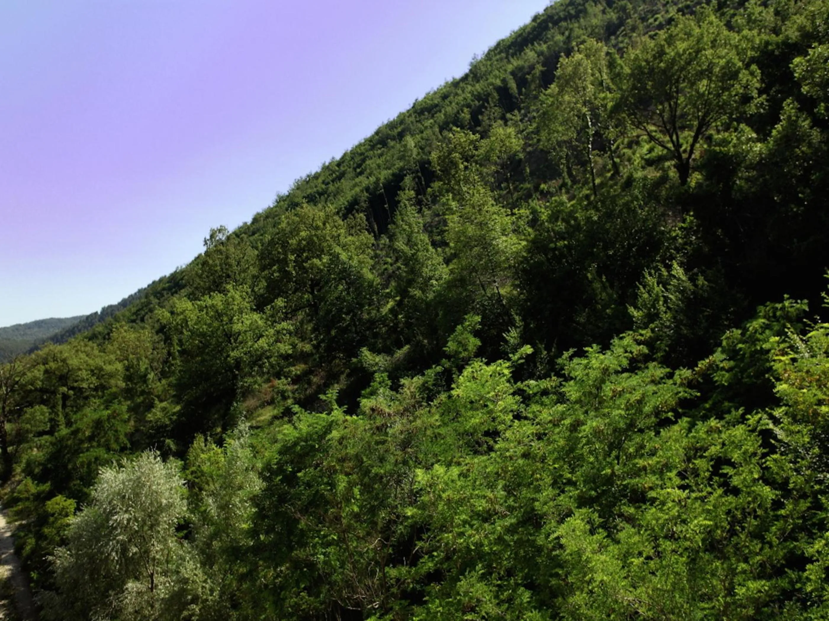 Decorative detail in Euro Hotel