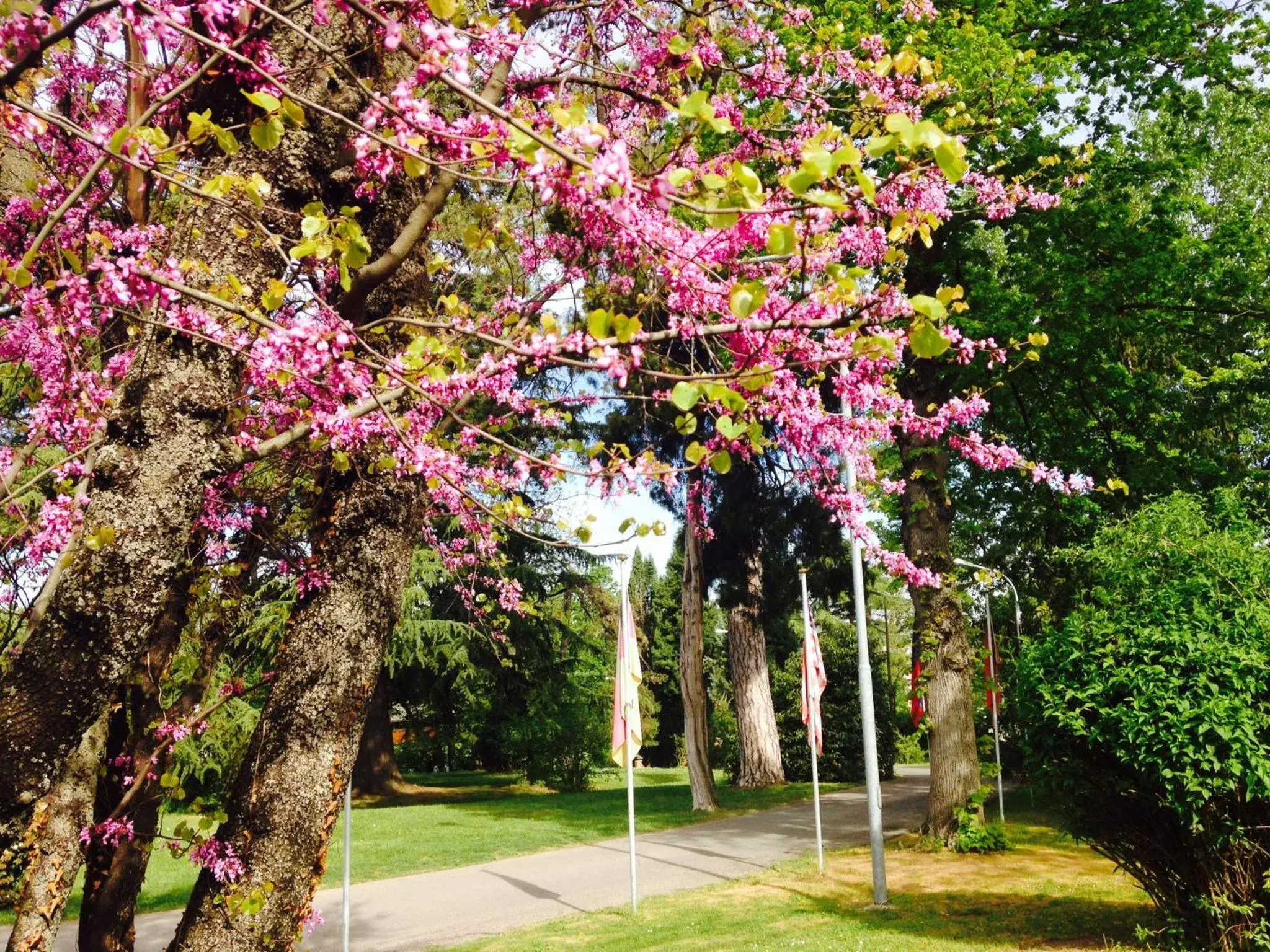 Facade/entrance in Hotel Terme Salvarola Facade/entrance in Hotel Terme Salvarola