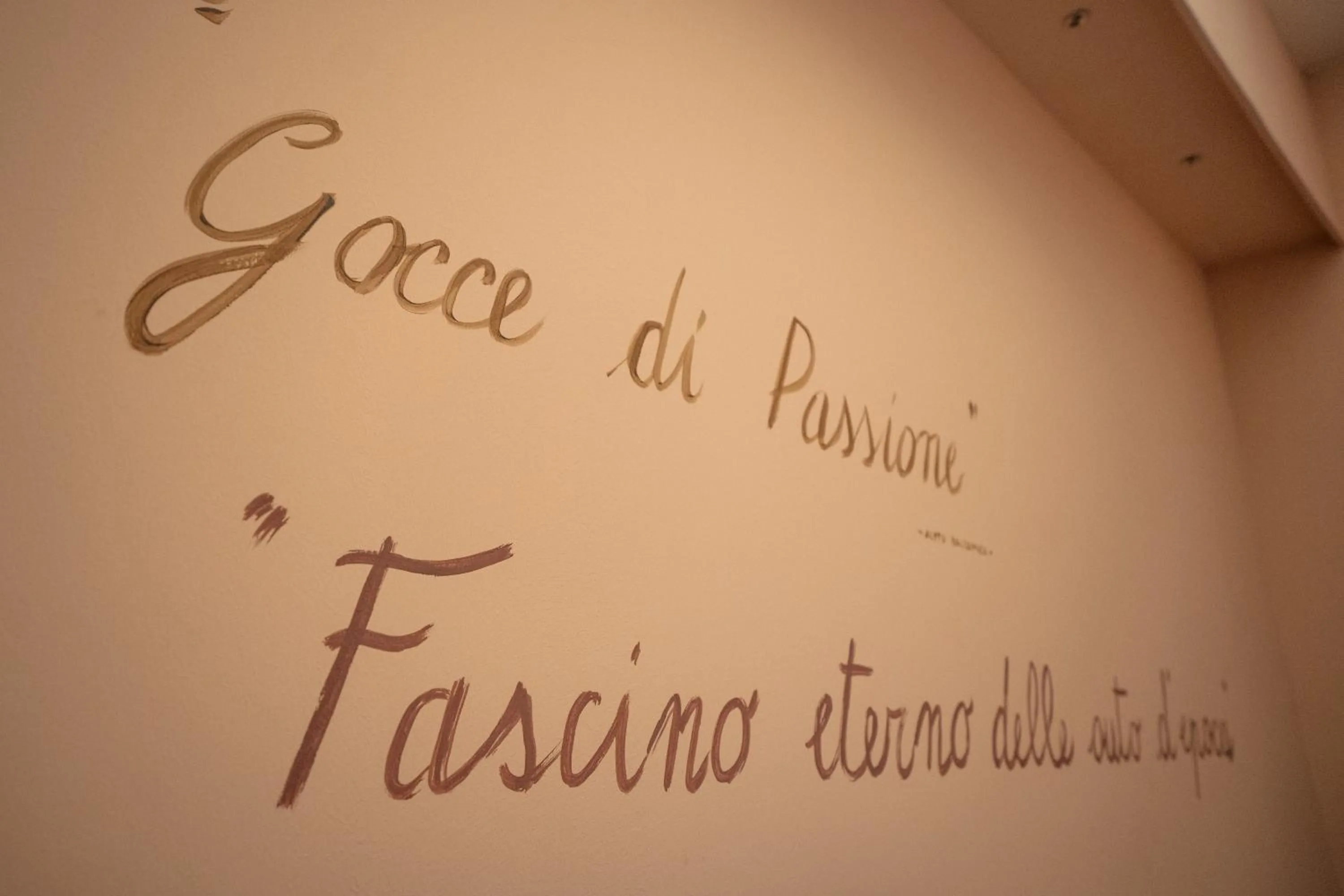 Text overlay in Hotel Terme Salvarola