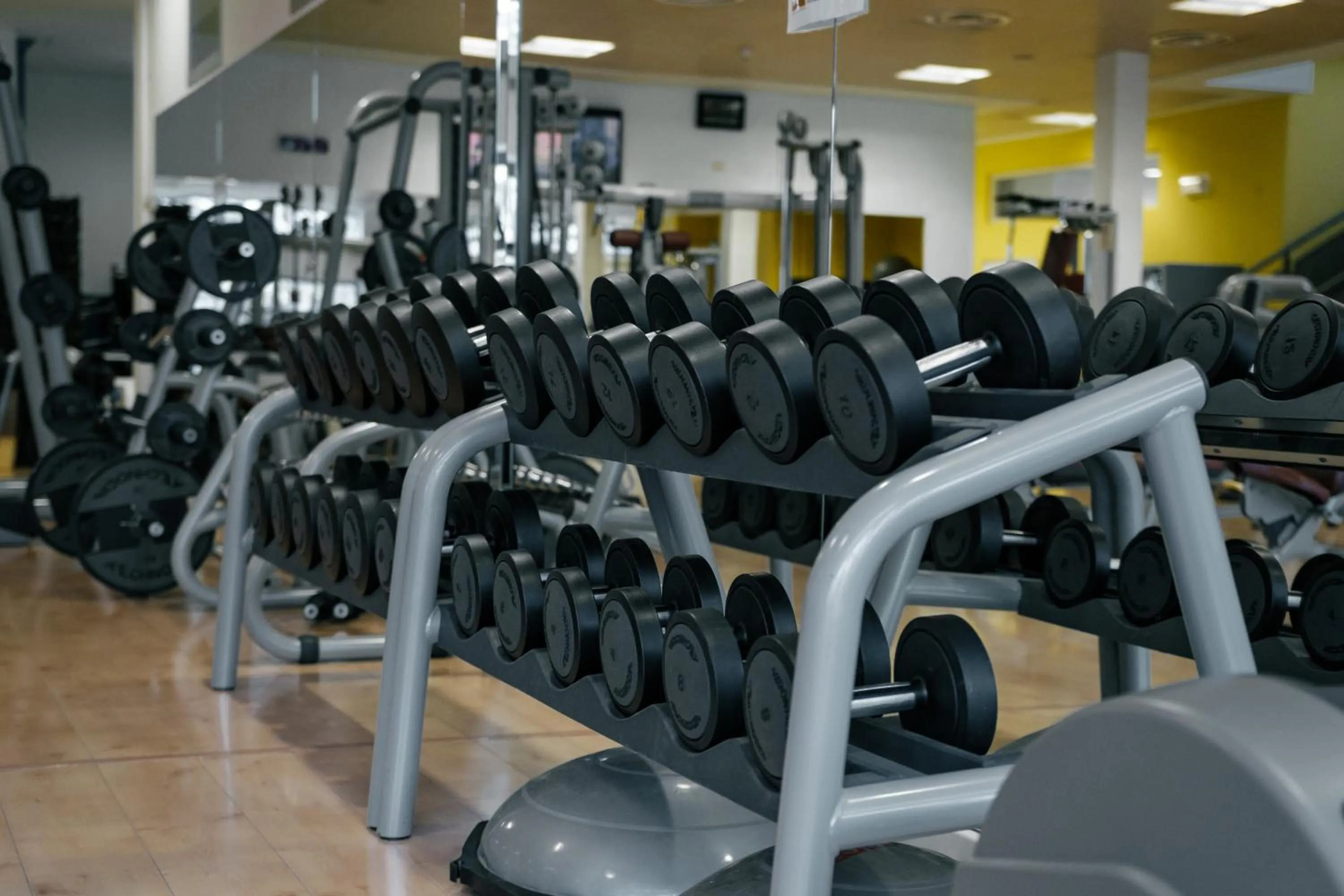 Fitness centre/facilities in Hotel Terme Salvarola
