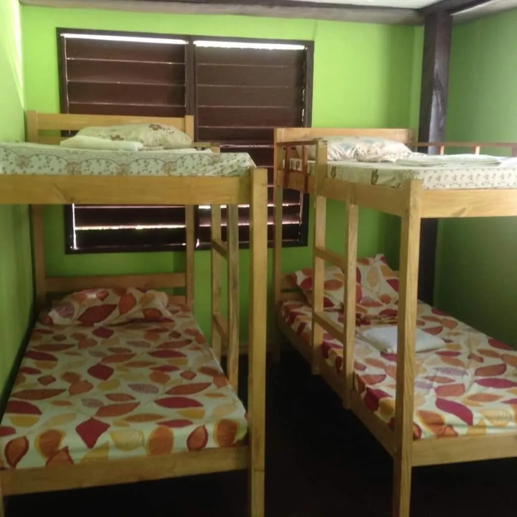 bunk bed, Bed in HFA Bldg