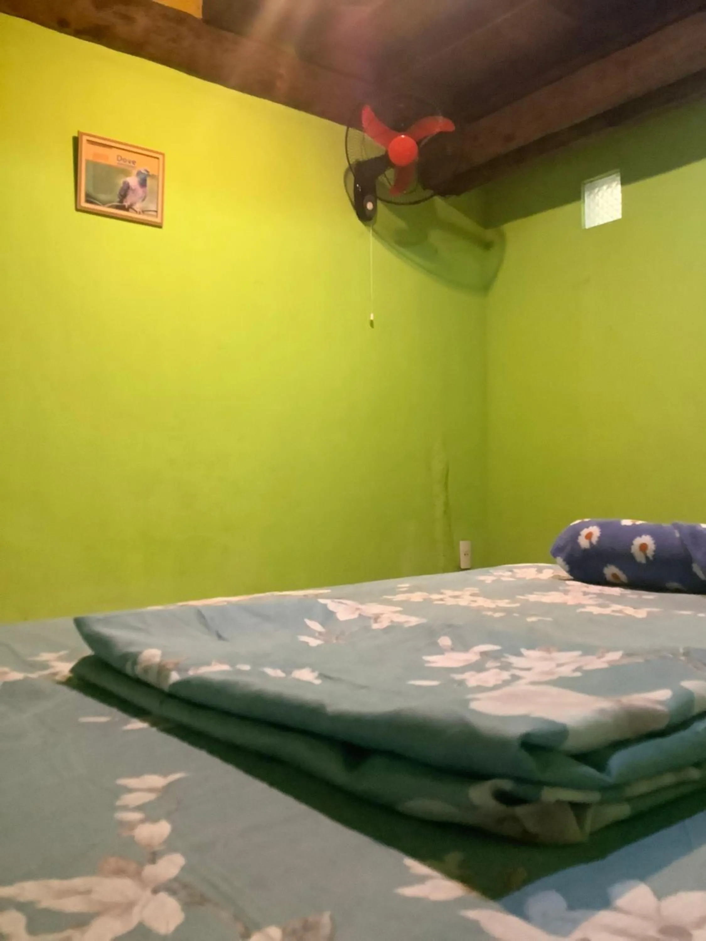 Bed in HFA Bldg
