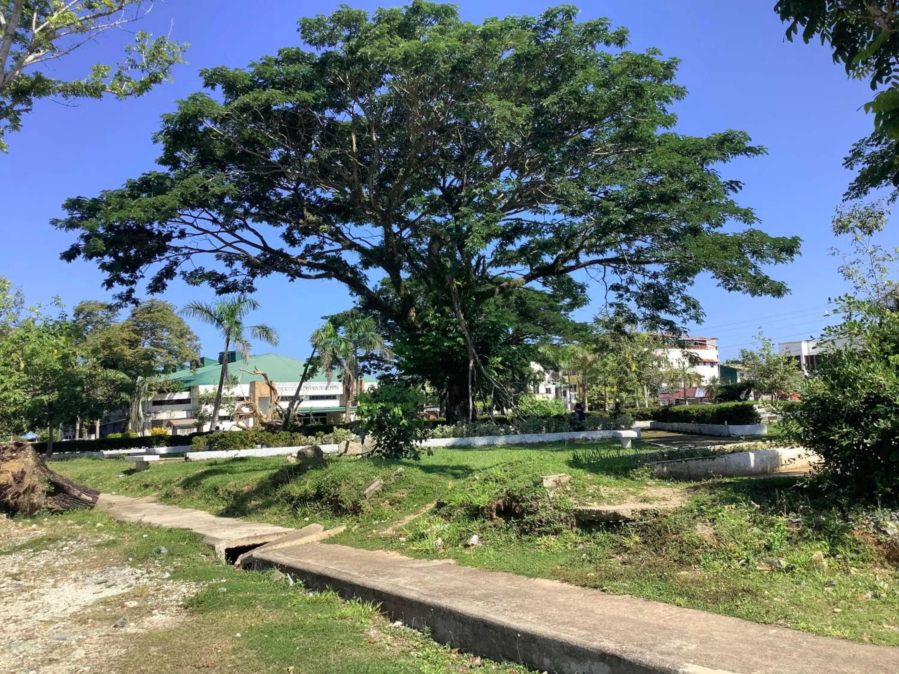 HFA Bldg