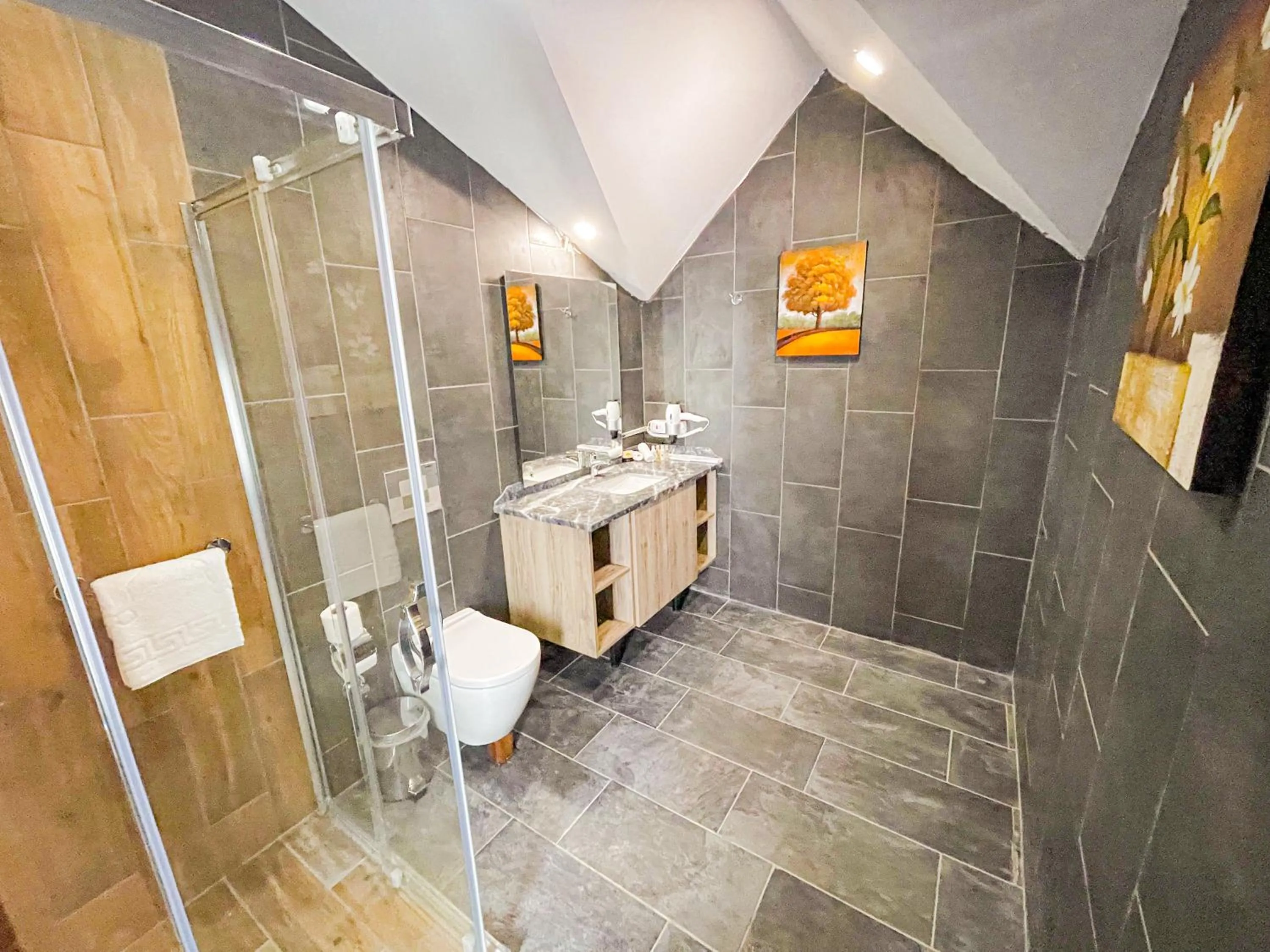 Shower in Center Inn Hotel Maltepe İstanbul