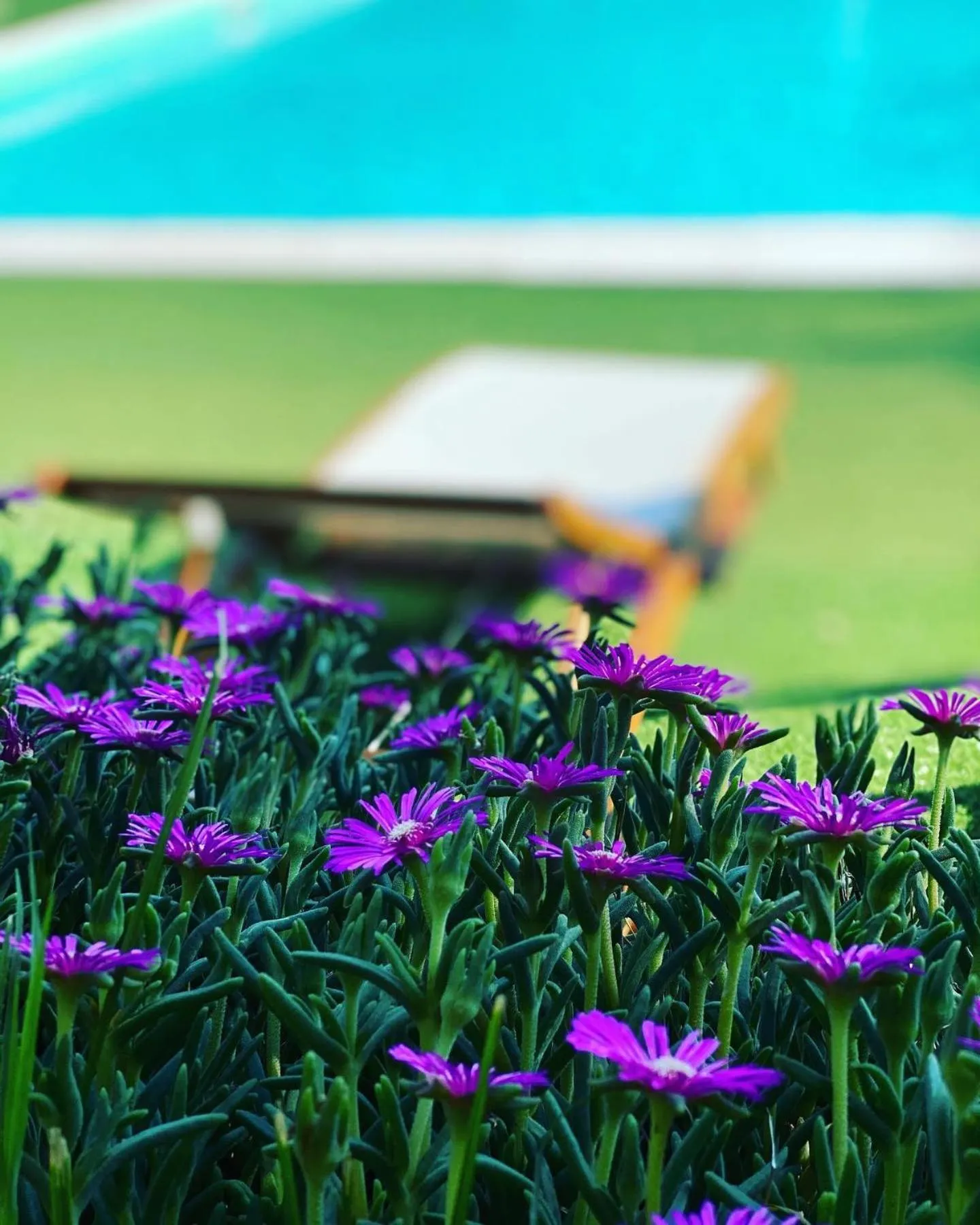 Property building in Hotel Borgo Antico