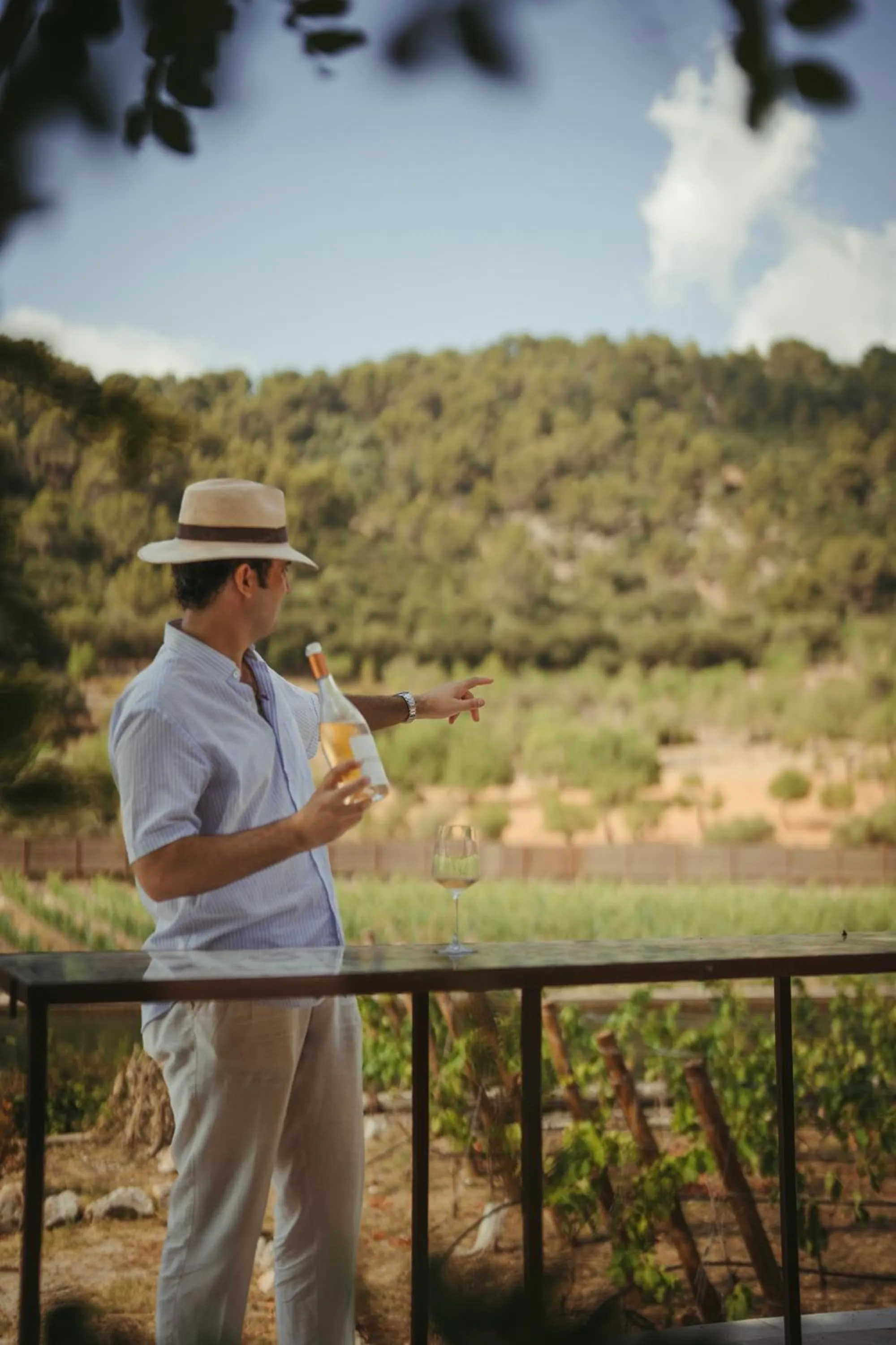 Rondaia, a Winery & Fincahotel-Agroturismo in Tramuntana