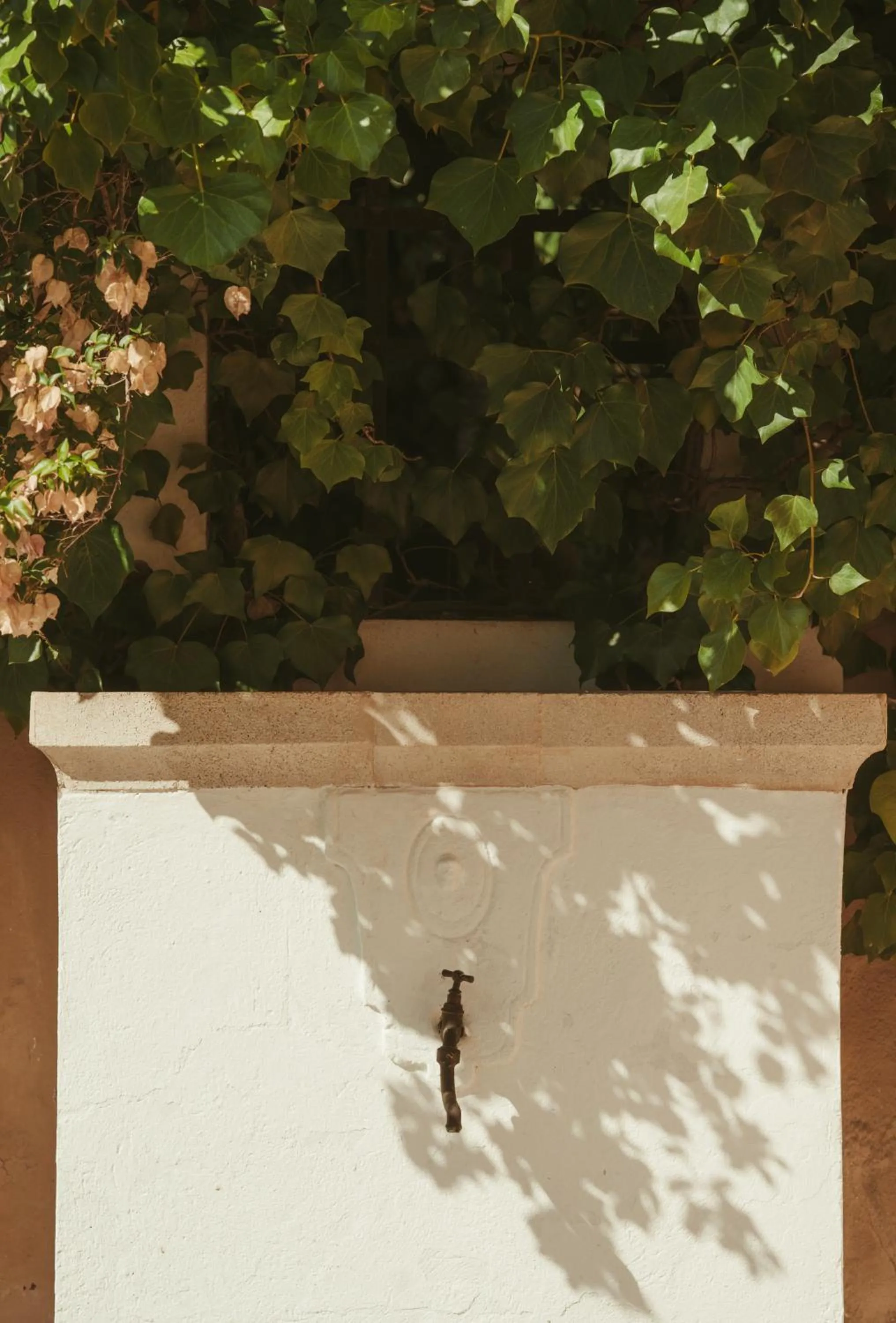 Rondaia, a Winery & Fincahotel-Agroturismo in Tramuntana