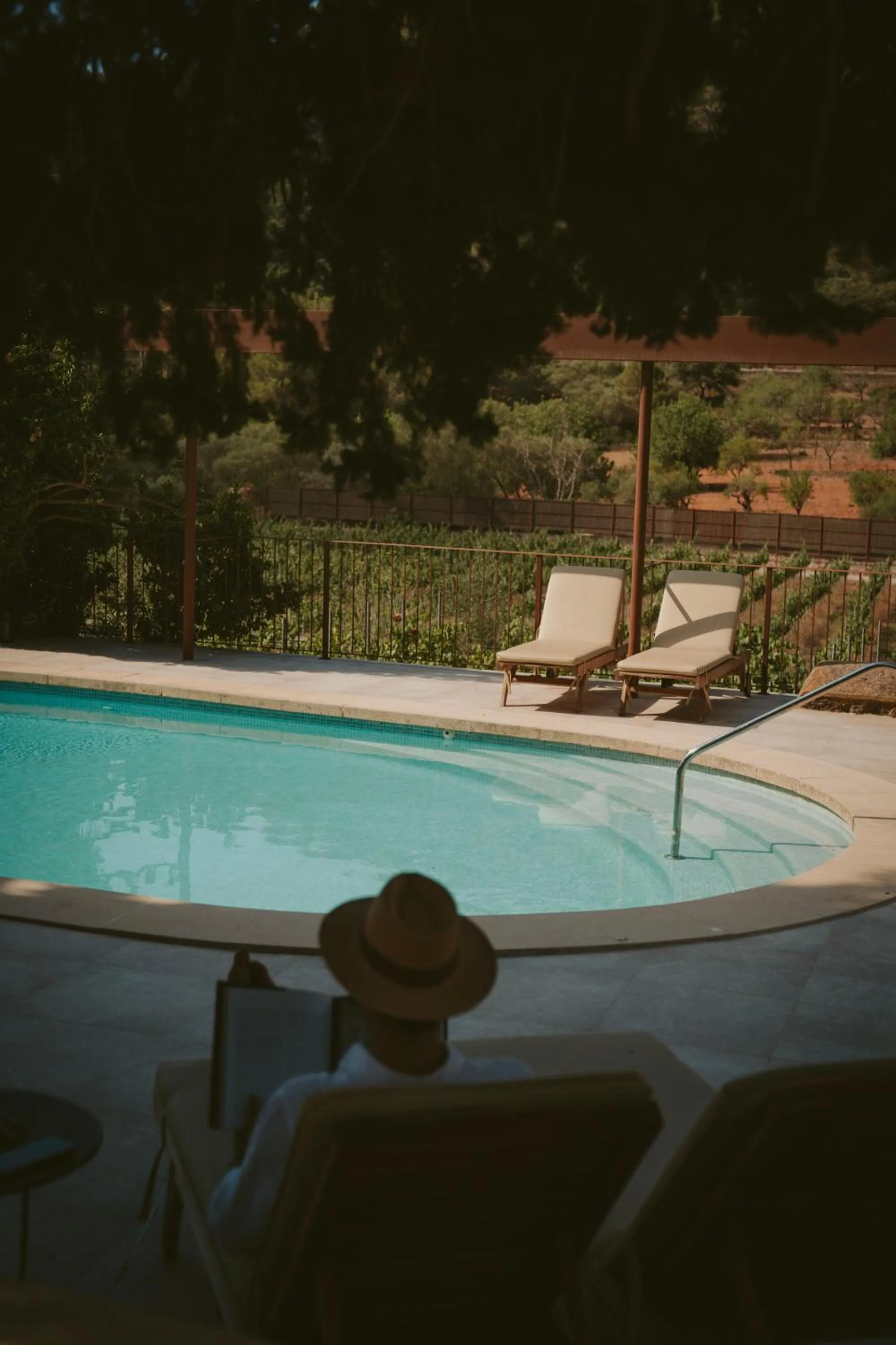 Day in Rondaia, a Winery & Fincahotel-Agroturismo in Tramuntana