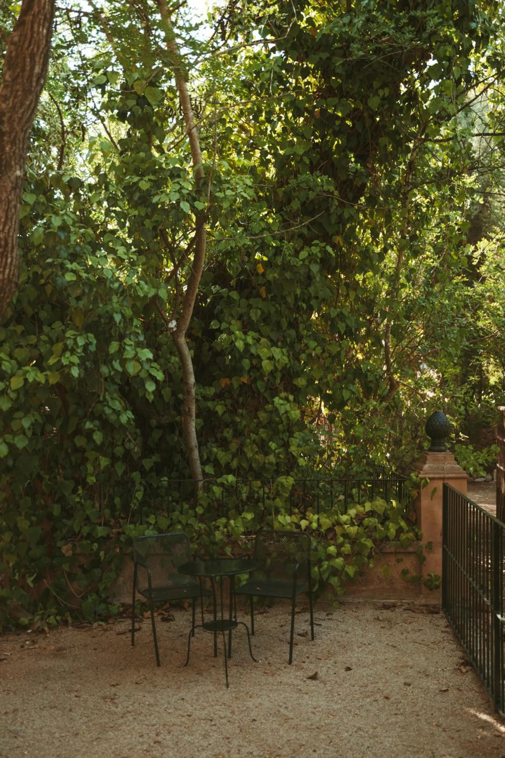 Rondaia, a Winery & Fincahotel-Agroturismo in Tramuntana