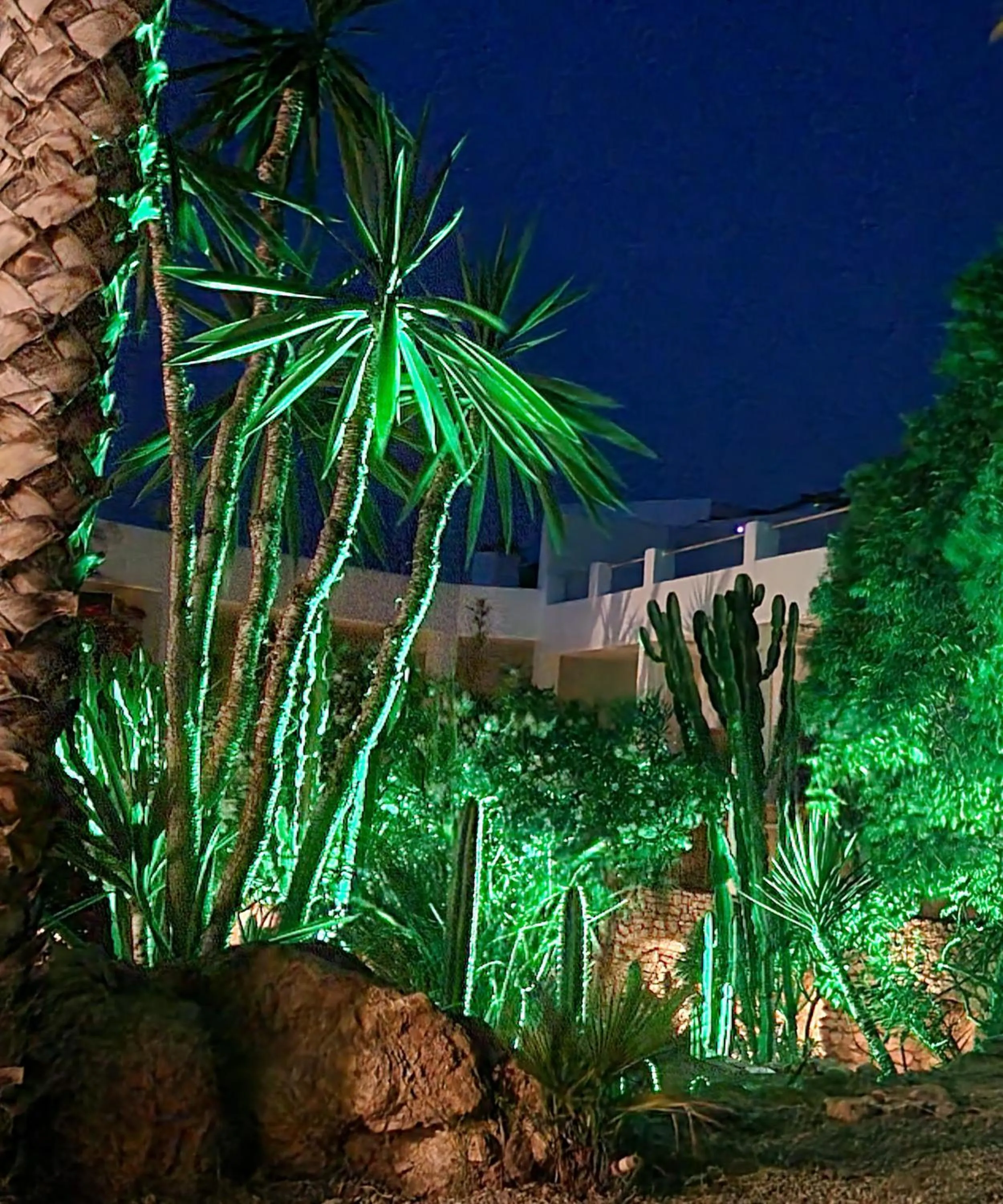 Property building in Casa Biank