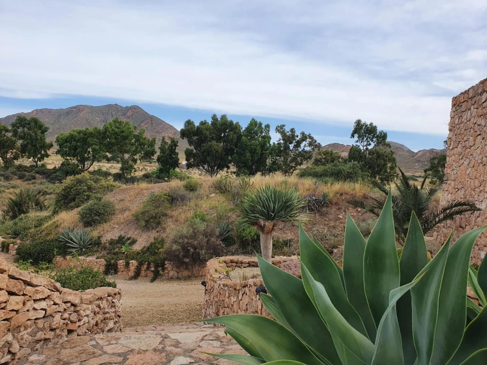 View (from property/room) in Casa Biank