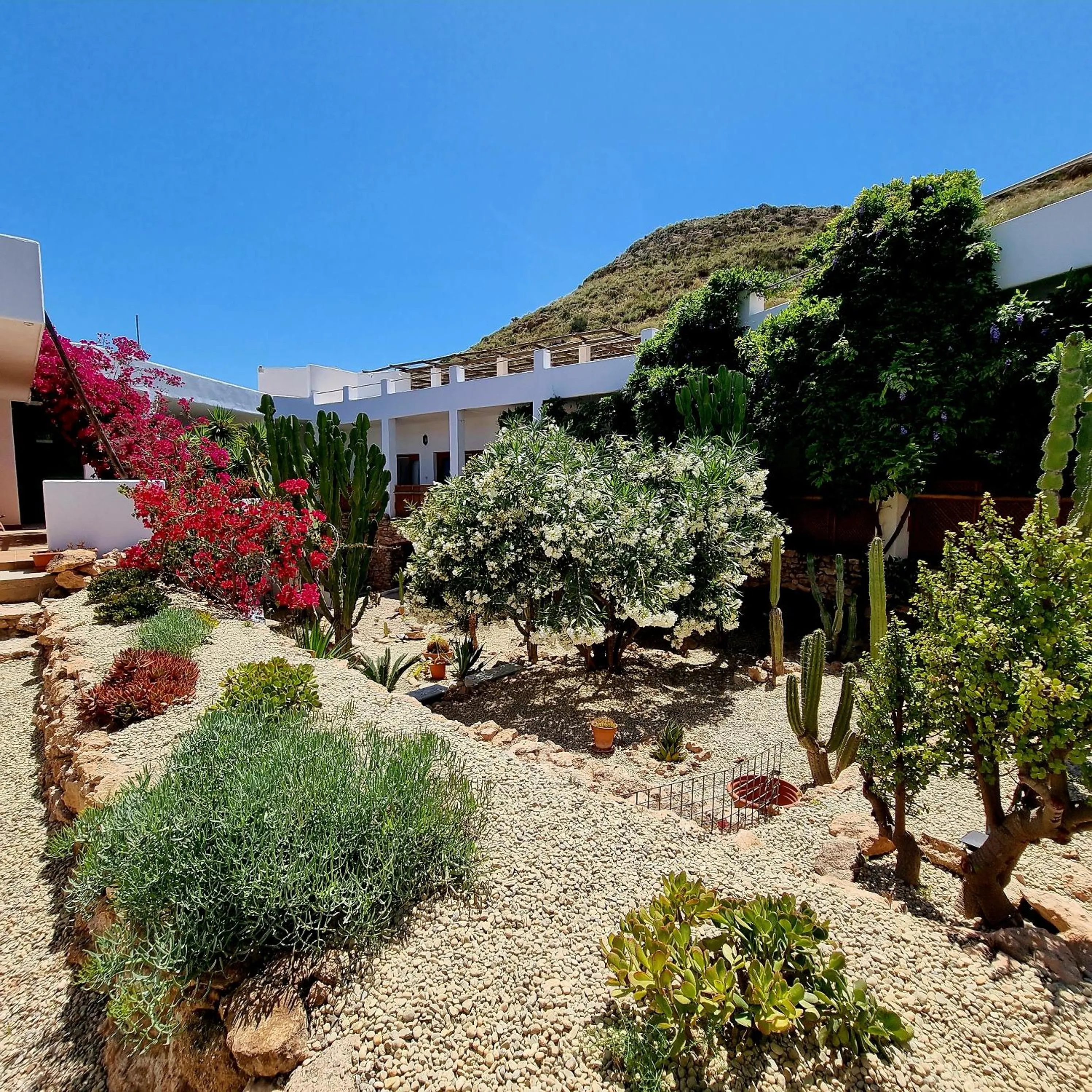 Property building in Casa Biank