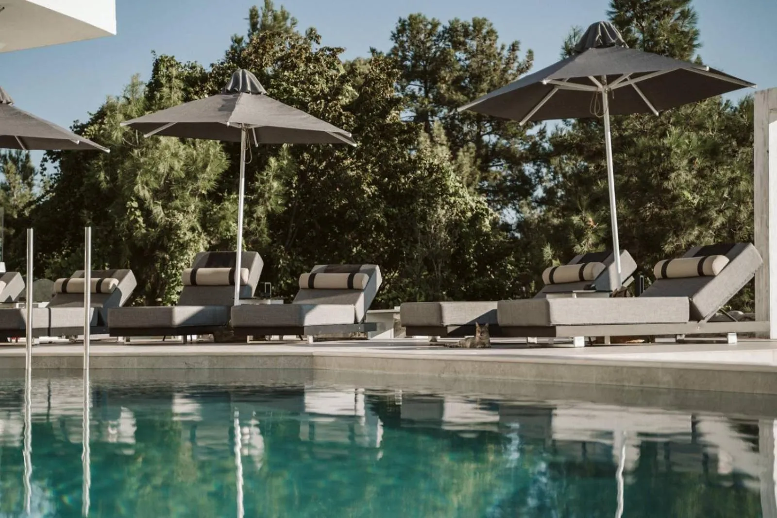 Swimming pool in Akrotiri Olympus Luxury Suites - Adults Only