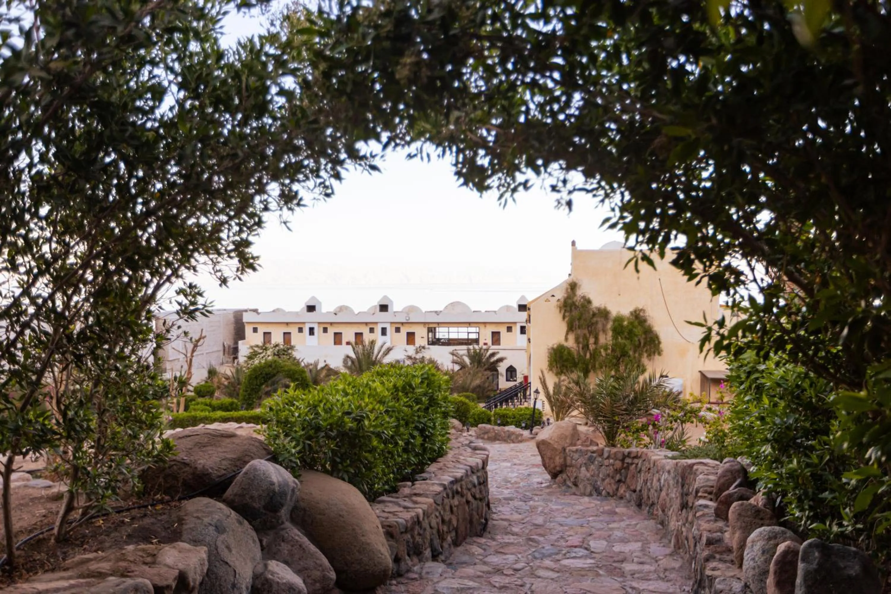 Garden in The Bedouin Moon