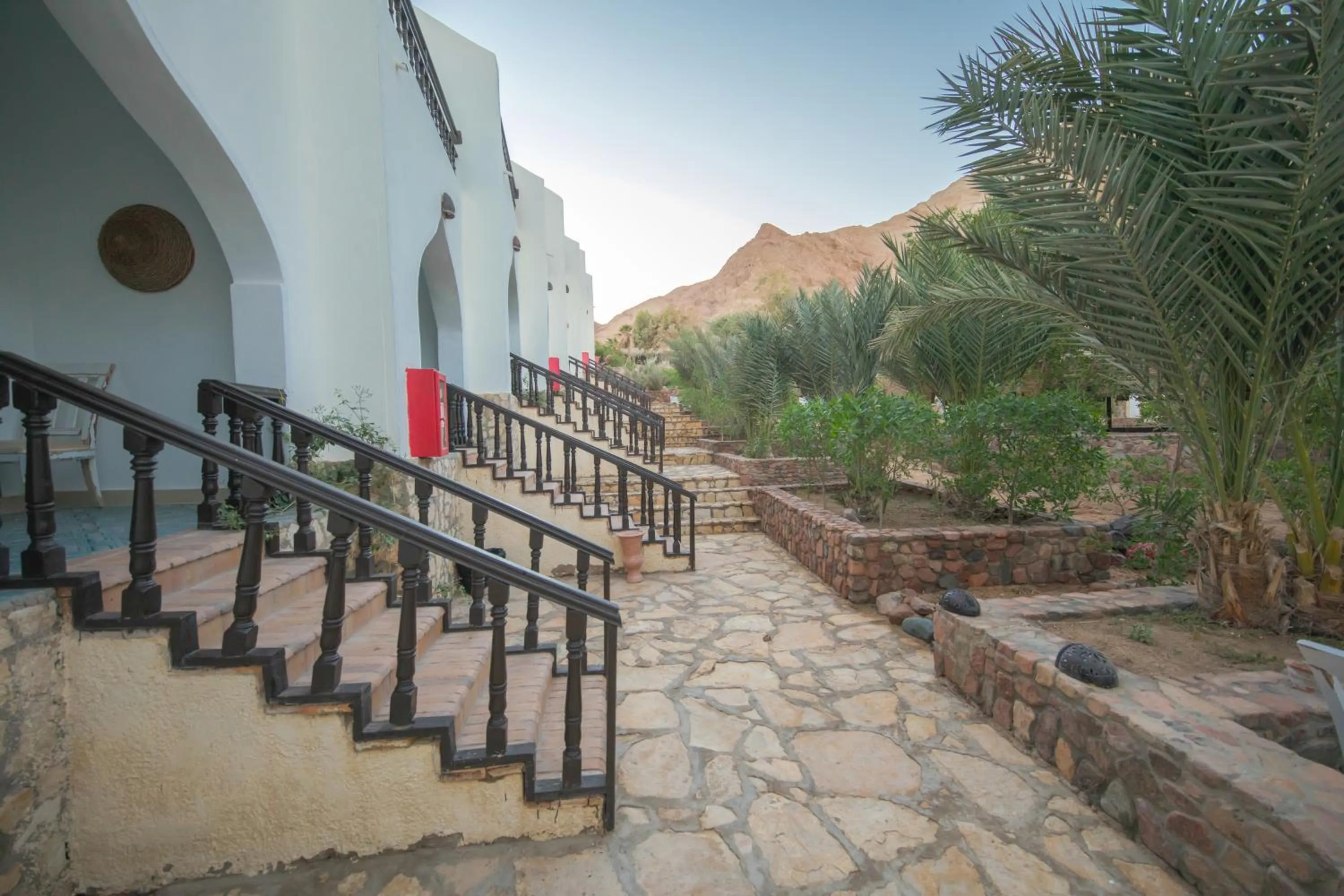 Mountain view in The Bedouin Moon