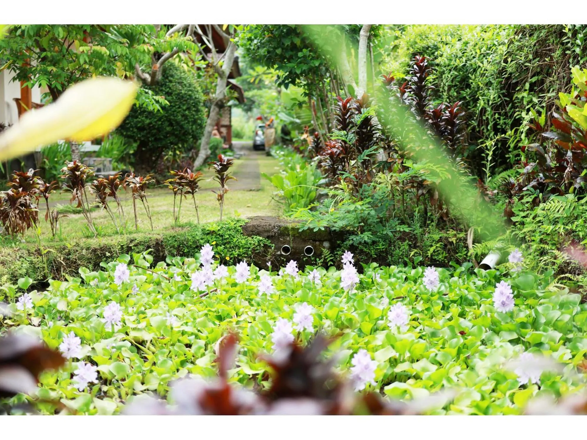 Natural landscape in Gongwi Cottages Sidemen