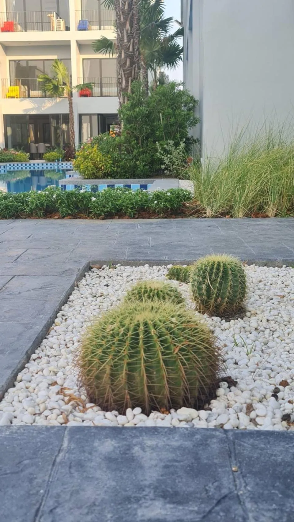 Garden in HATCHAO HERITAGE BEACH FRONT RESORT