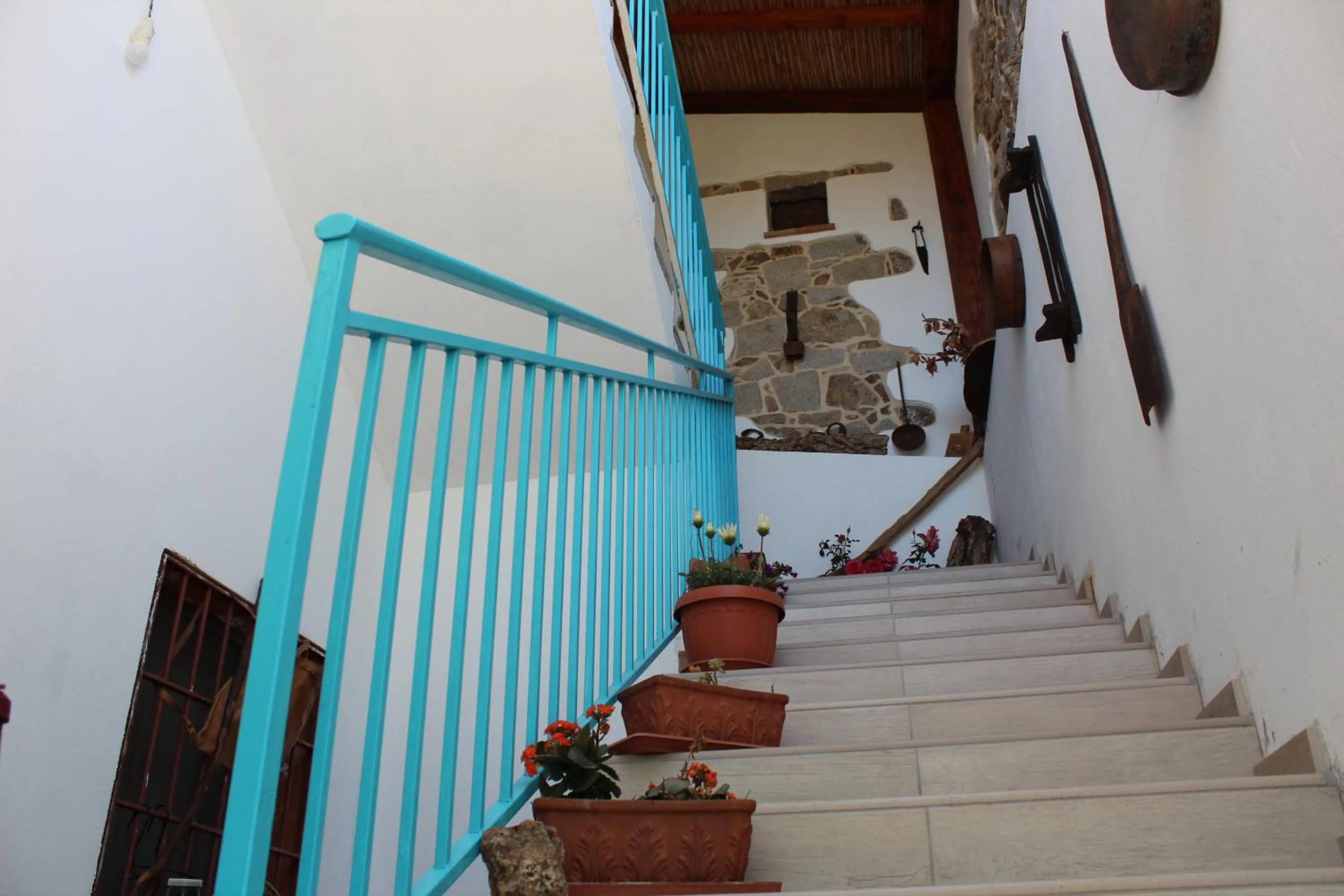 Patio in bed and breakfast Murales Orgosolo
