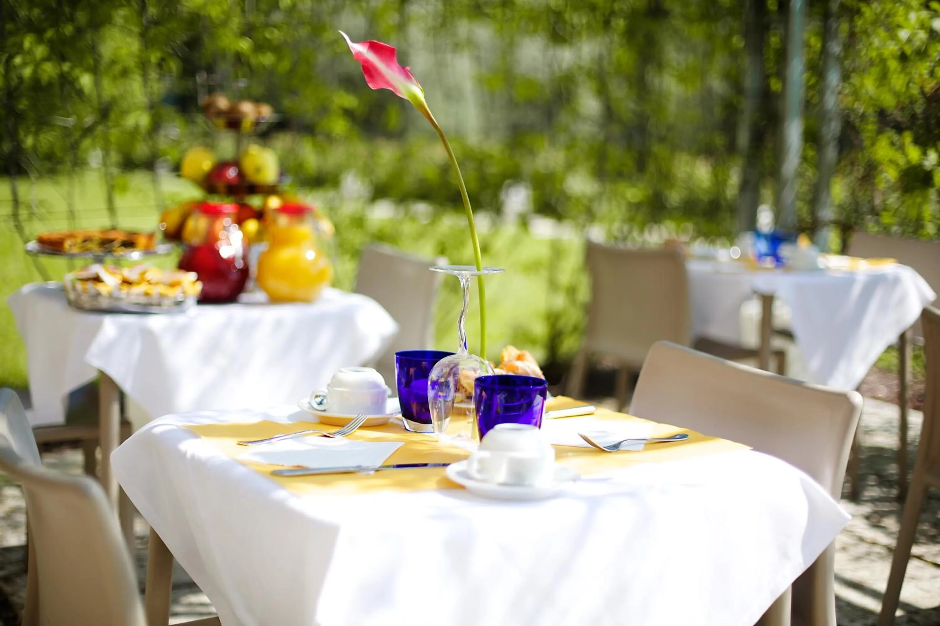 Restaurant/places to eat in Anusca Palace Hotel