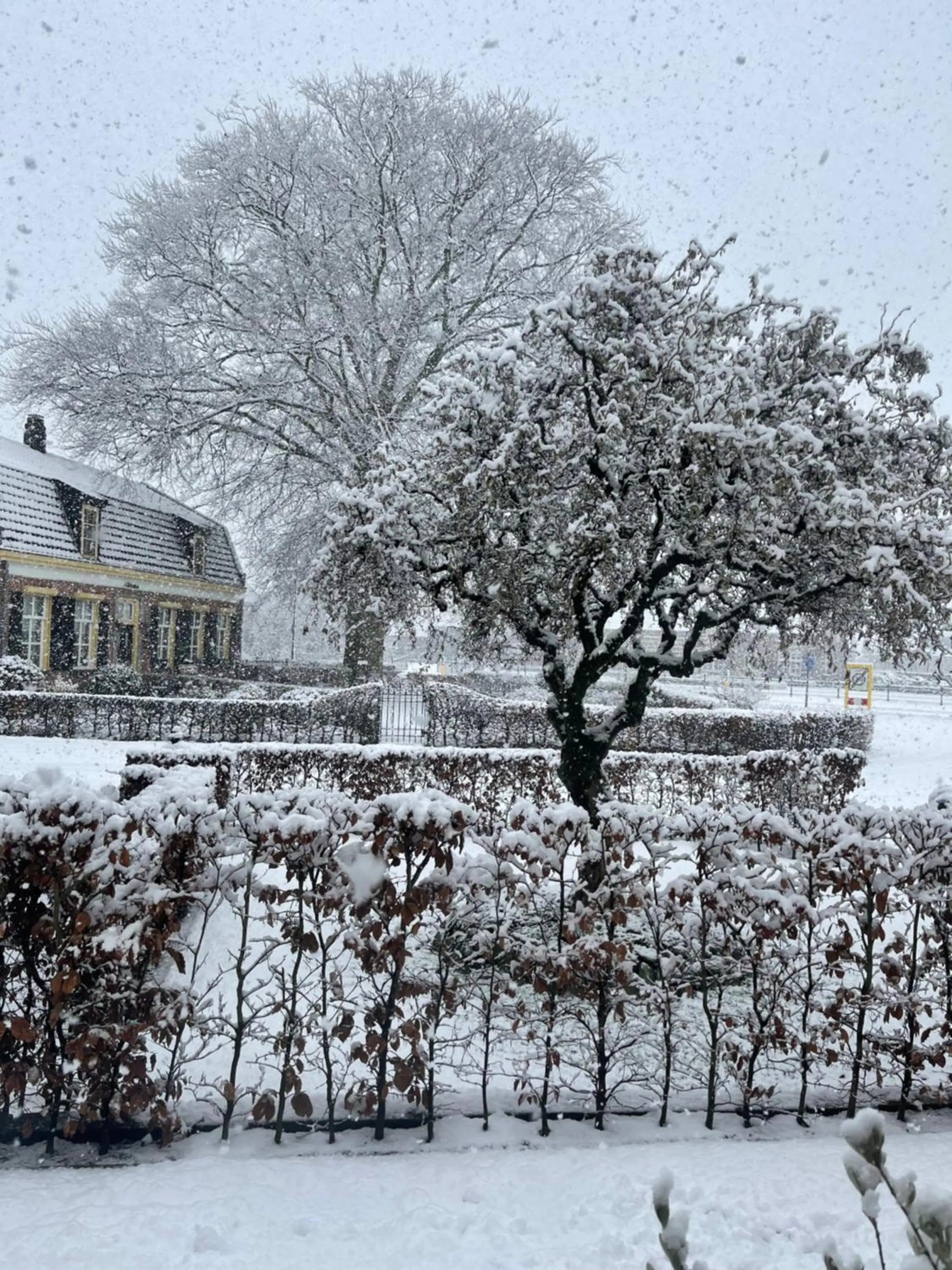 Winter in ‘t Bakhuis