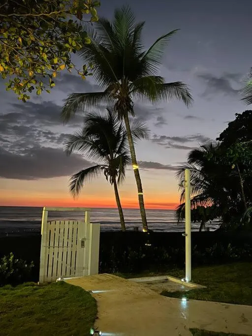 Garden in The Backyard Beach House