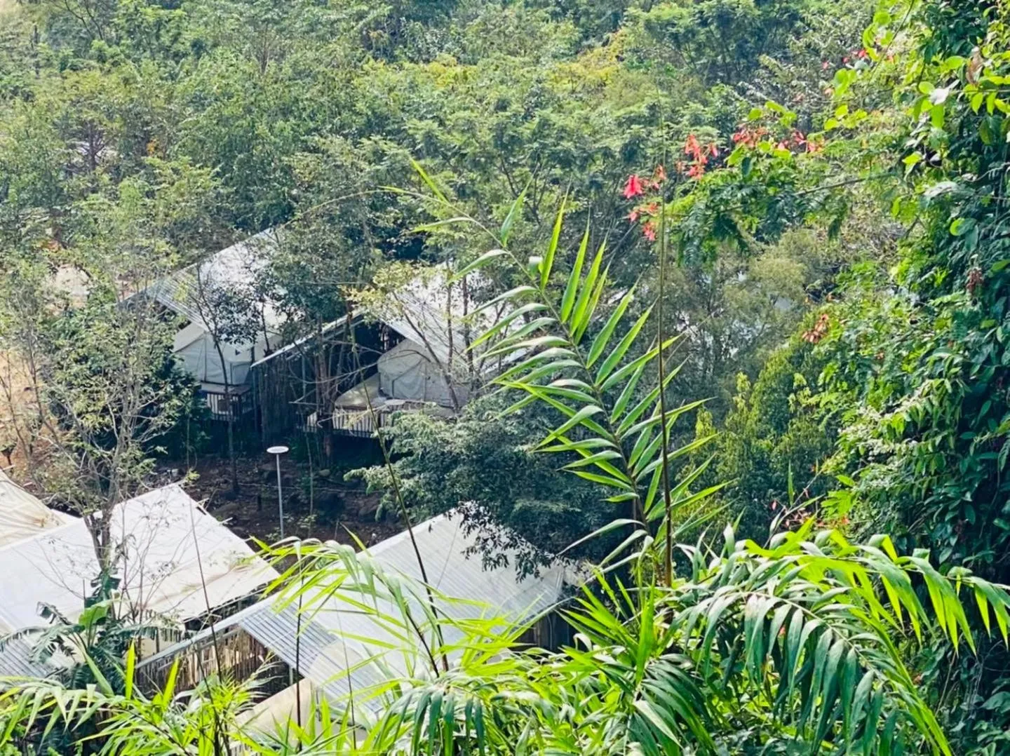 Spring in Green Valley Veal Pouch