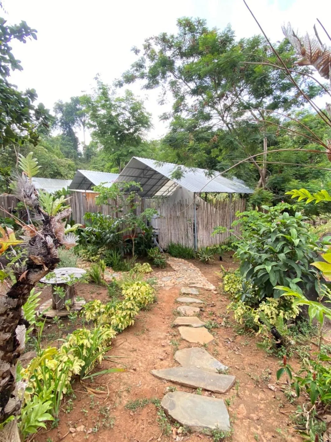 Property building in Green Valley Veal Pouch
