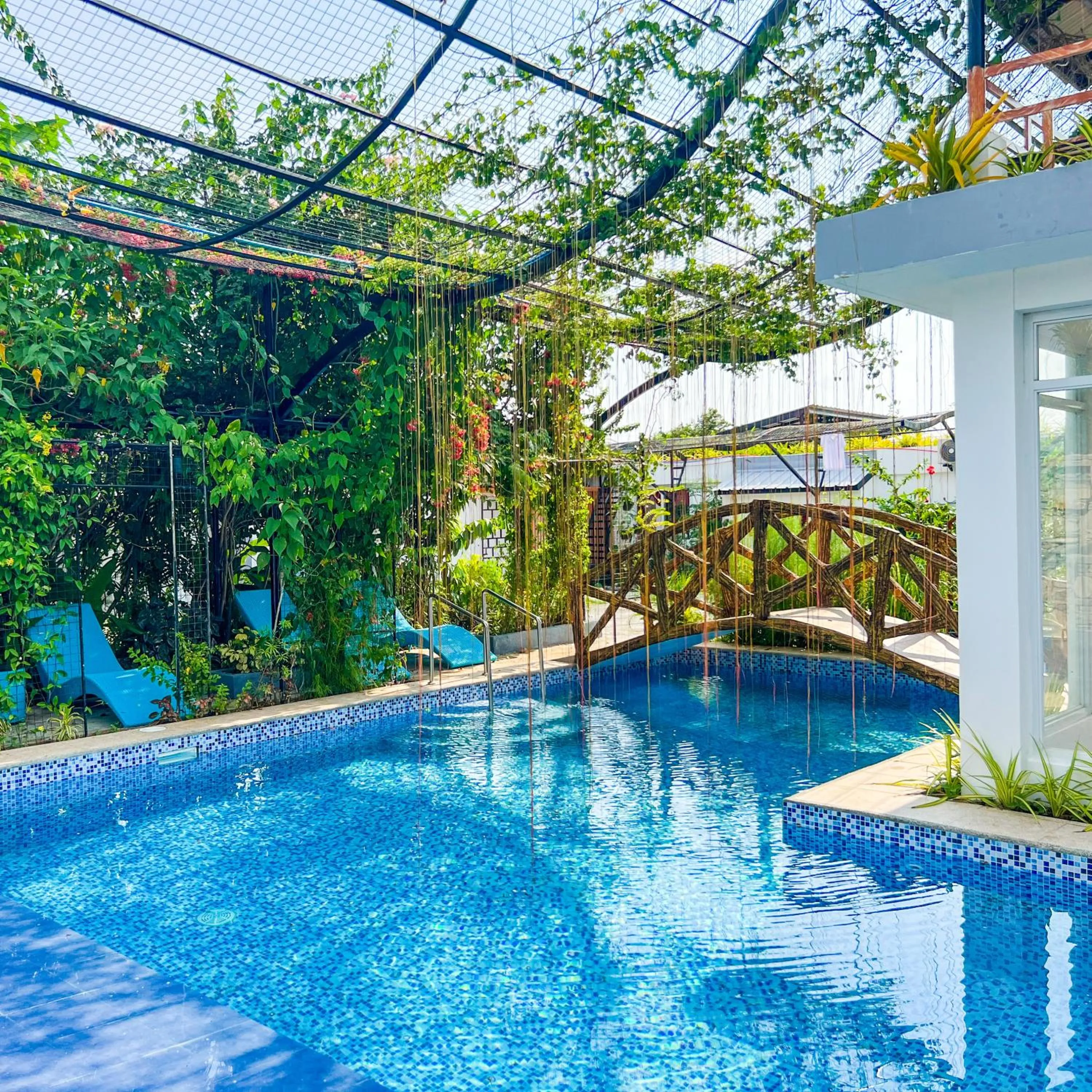 Garden in Casa Cecilia Hotel