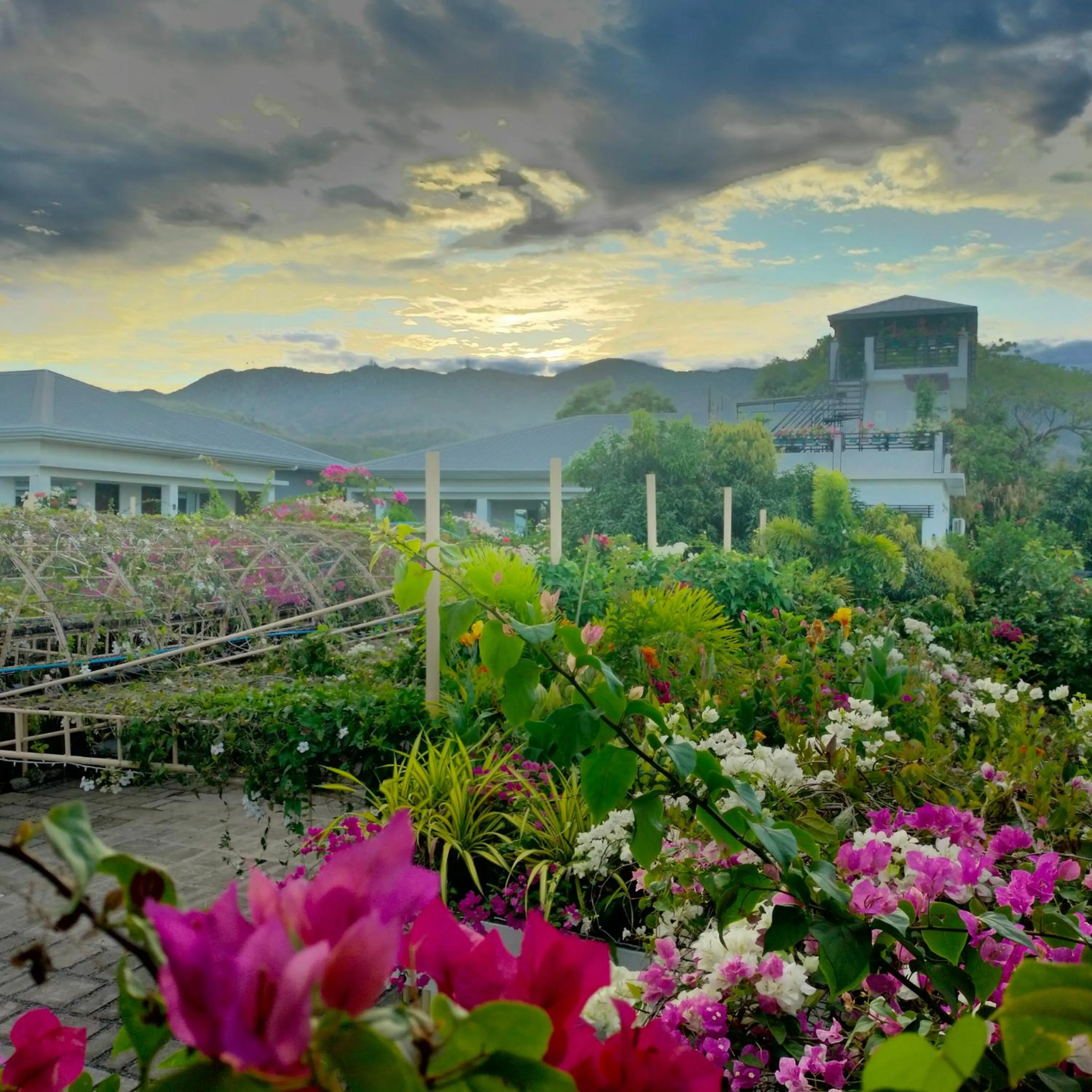 Garden view in Casa Cecilia Hotel