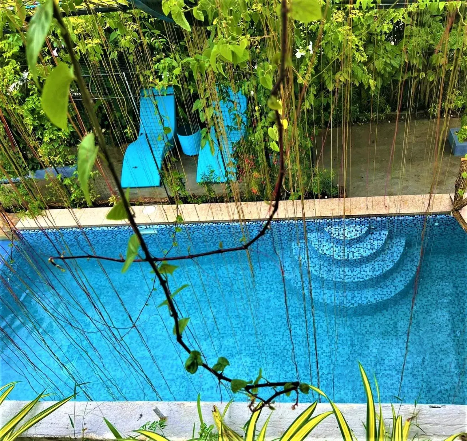 Bird's eye view in Casa Cecilia Hotel Bird's eye view in Casa Cecilia Hotel