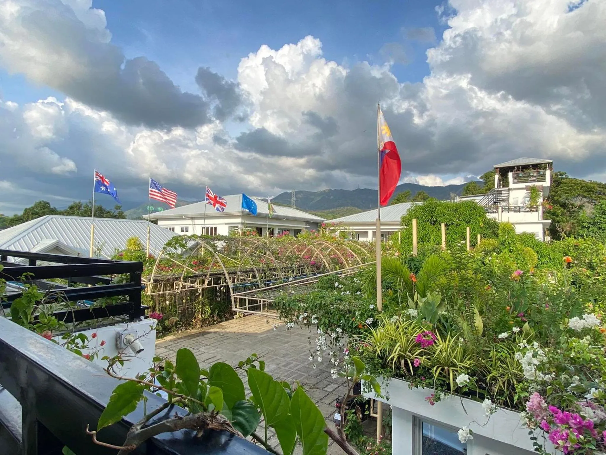 Balcony/Terrace in Casa Cecilia Hotel