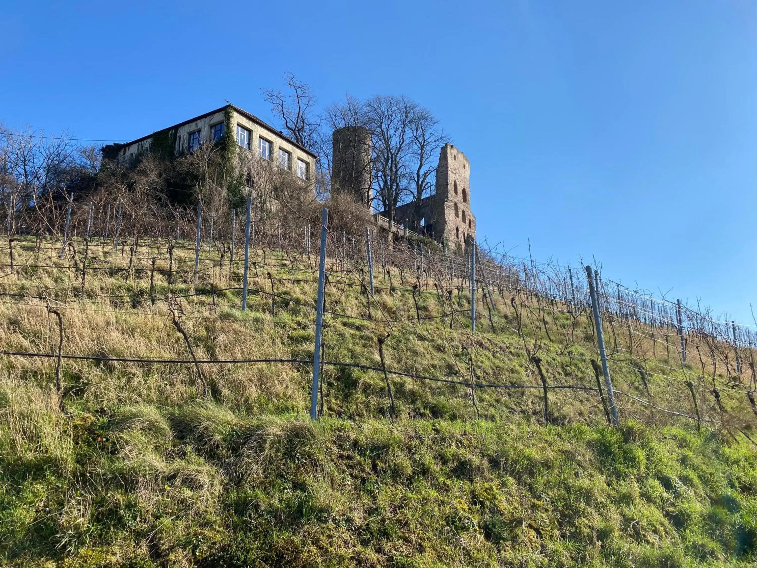 Nearby landmark in TRIP INN Kaiser Hotel & Restaurant Heidelberg-Schriesheim Nearby landmark in TRIP INN Kaiser Hotel & Restaurant Heidelberg-Schriesheim