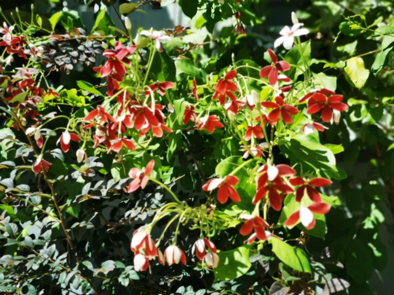 View (from property/room) in Surprised Homestay Butterworth