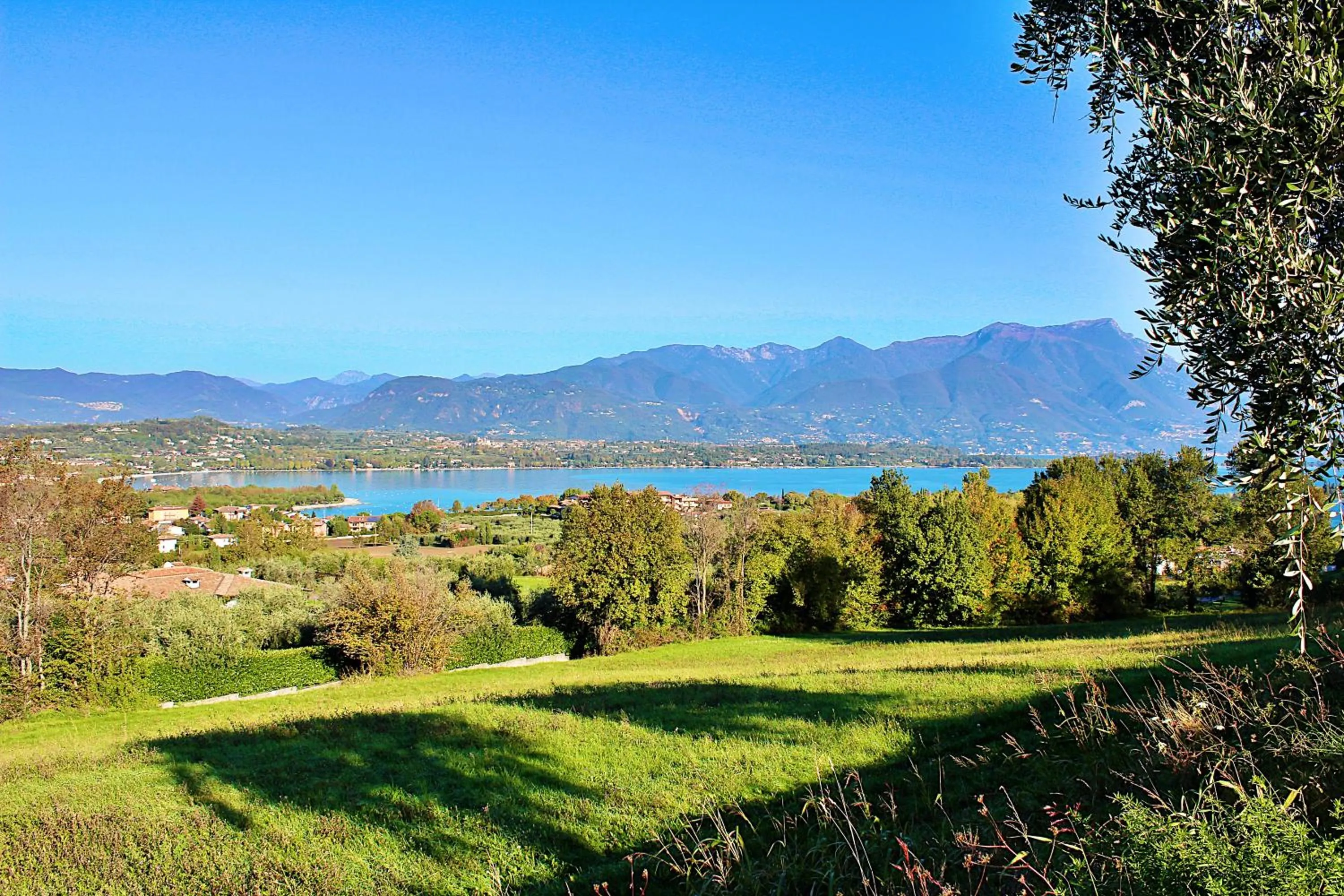 Other in Residence Bellavista