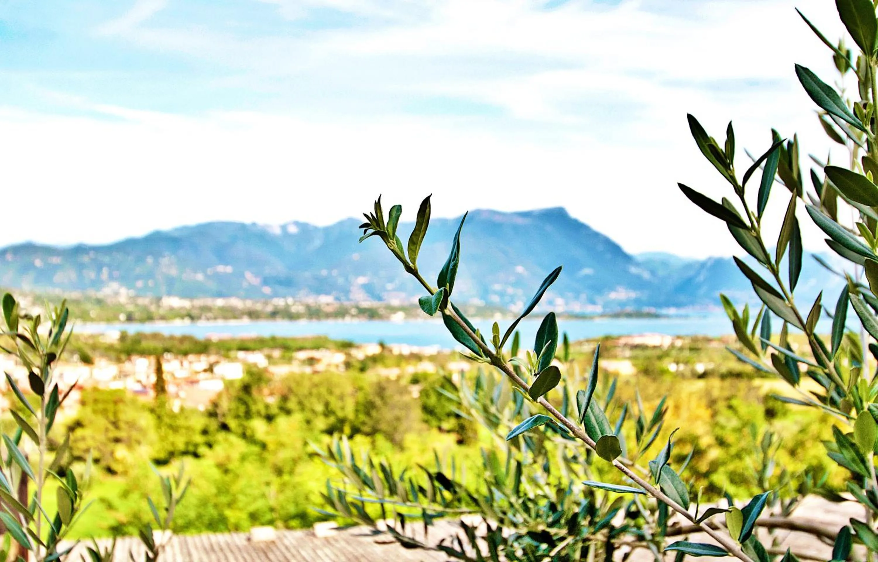 View (from property/room) in Residence Bellavista