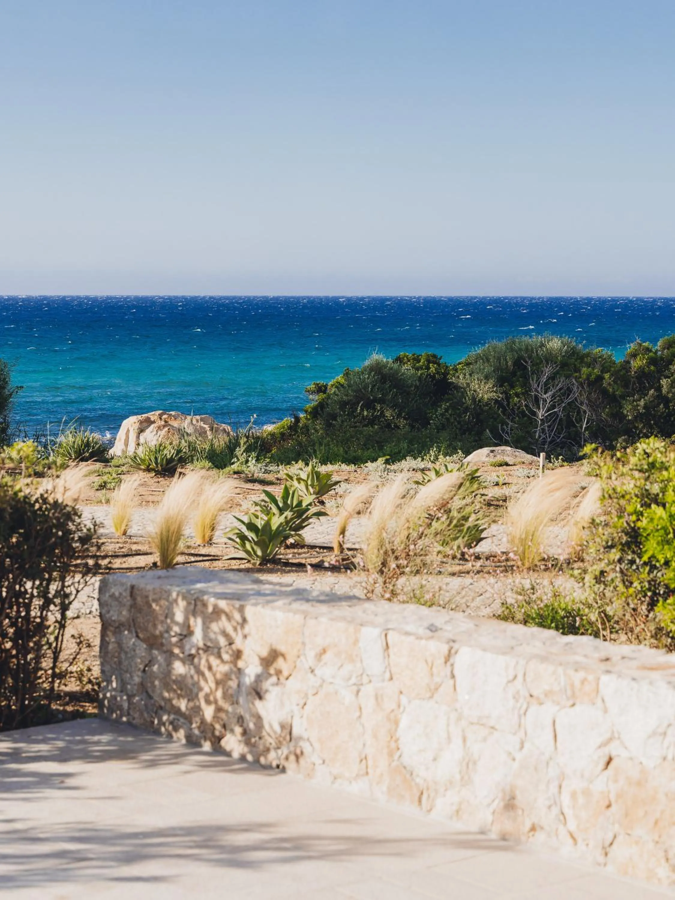Garden in Casa Paradisu