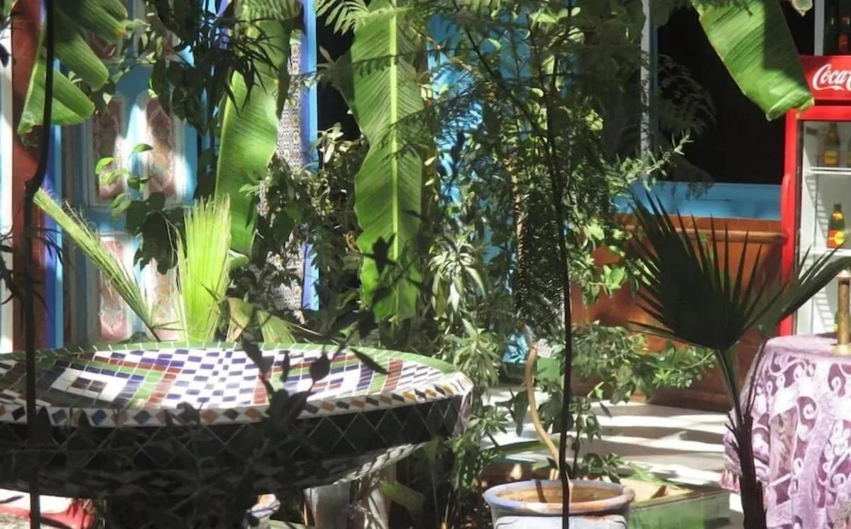Patio in Riad Carole - Perfect for Families & Groups