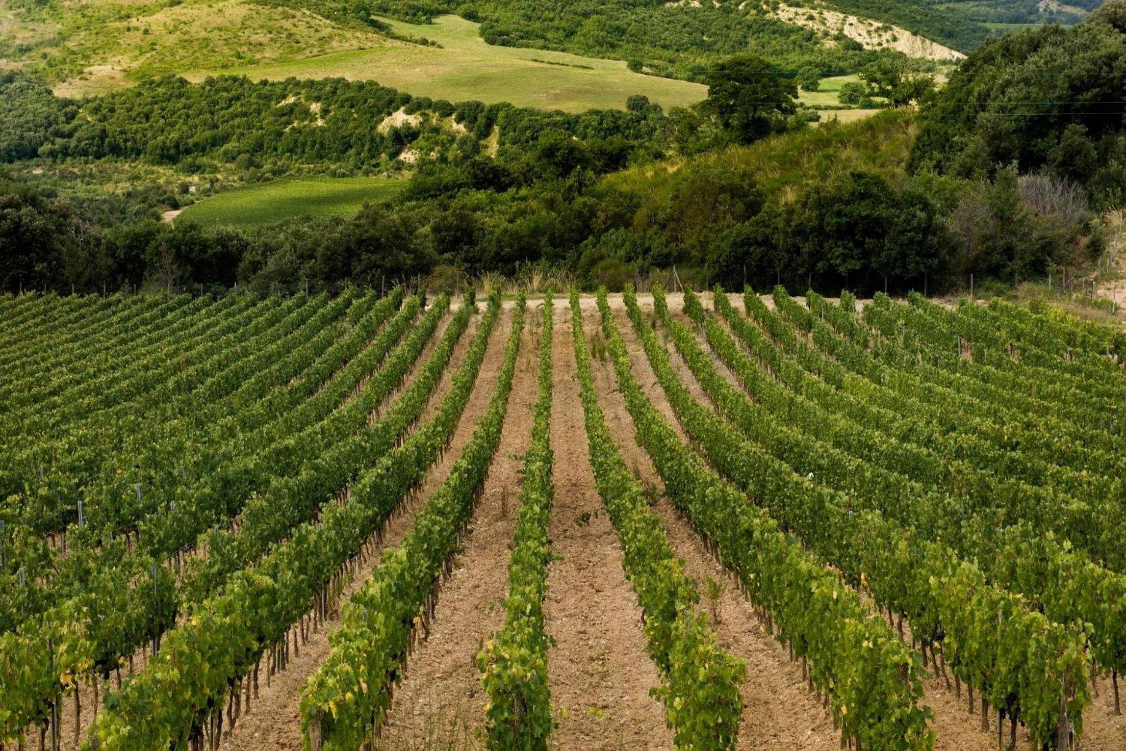 Day in Castello di Velona Resort, Thermal SPA & Winery