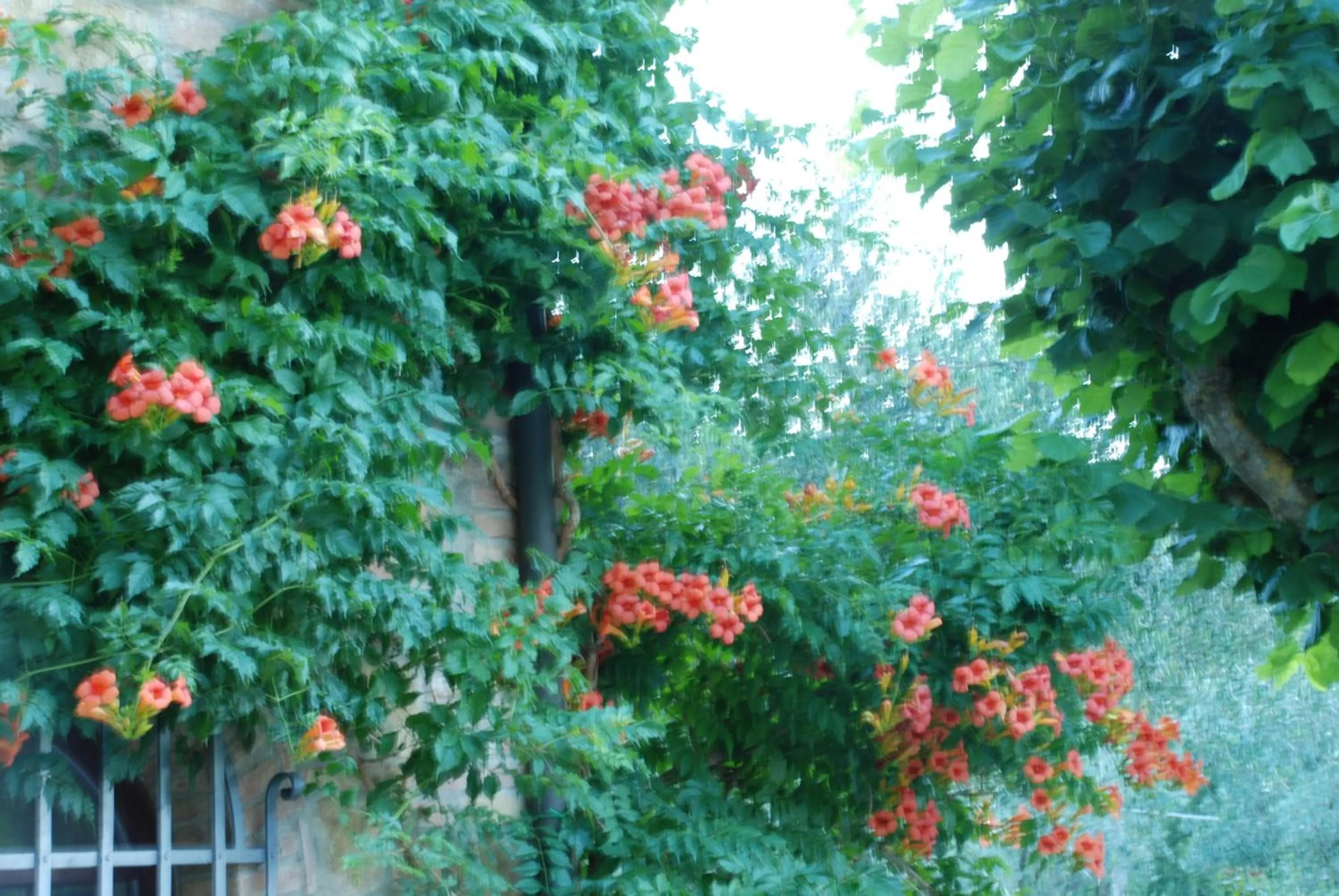 Other in Il Rondò Boutique Hotel